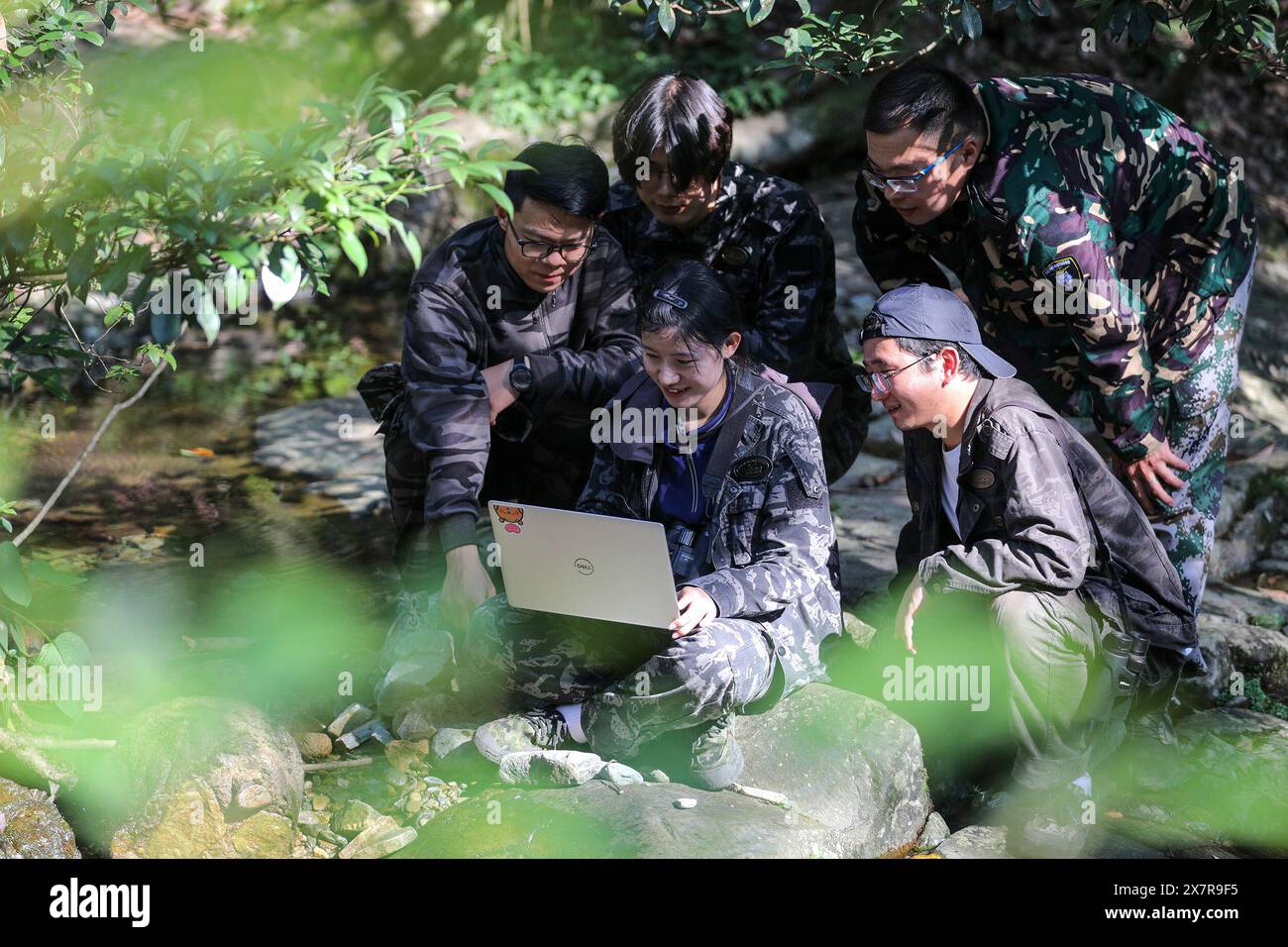 (240521) -- HUANGSHAN, 21 maggio 2024 (Xinhua) -- i membri del gruppo di ricerca sui primati dell'Università di Anhui conducono studi ecologici nel villaggio di Fuxi del comune di Tangkou a Huangshan, nella provincia di Anhui nella Cina orientale, 11 agosto 2023. La Macaque Huangshan dalla coda di rondine (Macaca thibetana huangshanensis), una specie unica nell'area di Huangshan in Cina, spesso si presenta in gruppi in fitte foreste e canyon, arrampicandosi rami e scogliere con facilità, è sotto la protezione nazionale di seconda classe della Cina. Nel 1983, l'Università di Anhui e l'Università di Kyoto hanno svolto una cooperazione scientifica e tecnologica con un campo primate Foto Stock