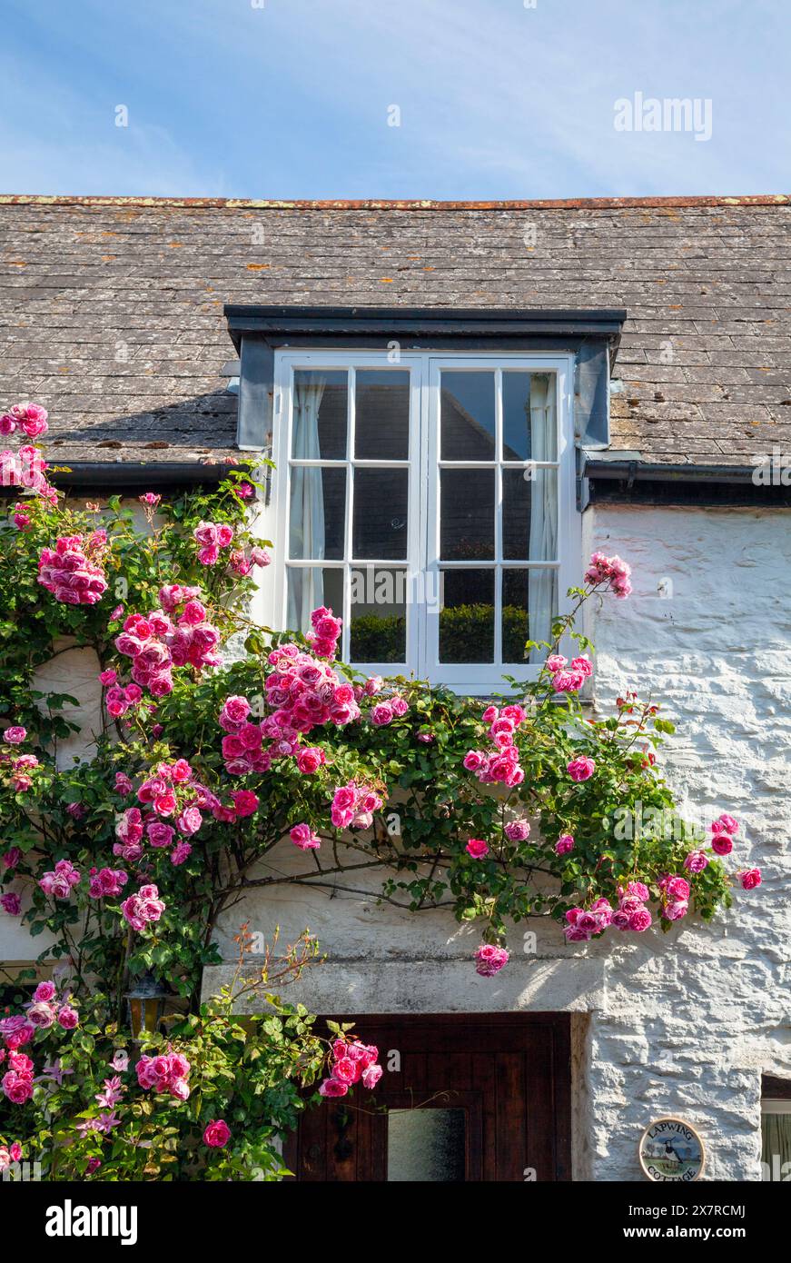 Inghilterra, Devon, Dittisham, Manor Street, dettaglio della finestra del cottage con rose rosa Foto Stock