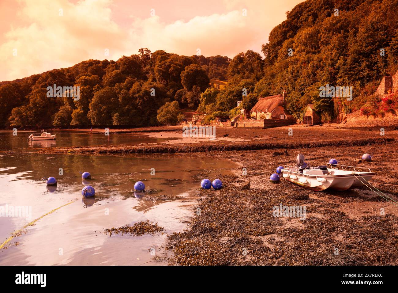 Inghilterra, Devon, Dittisham, il fiume Dart con cottage di paglia all'alba Foto Stock