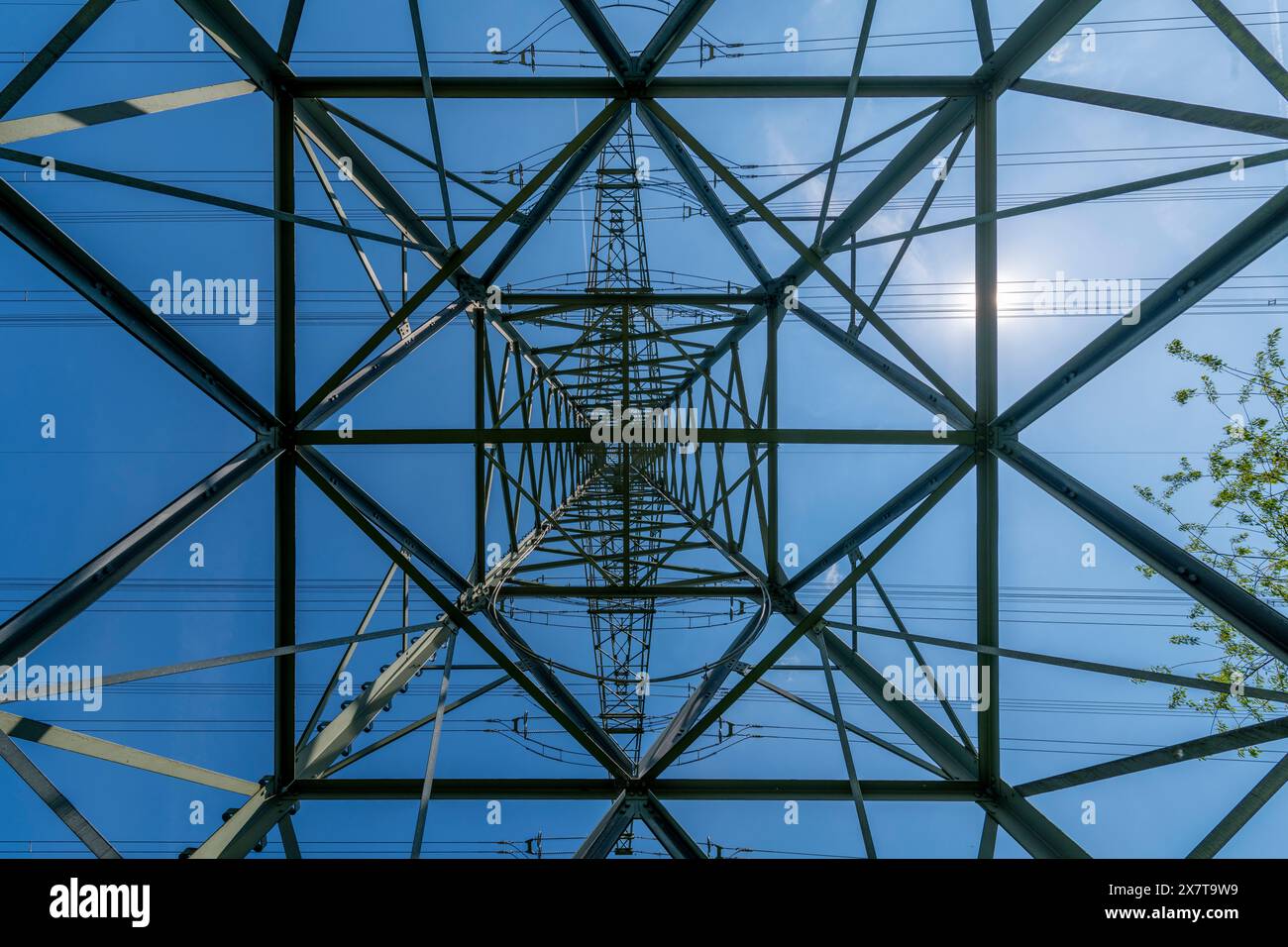 Osserva la geometria disciplinata di una torre ad alta tensione come si vede dalla vista di un verme, un'affascinante miscela di forza e struttura in un perfetto harmo Foto Stock