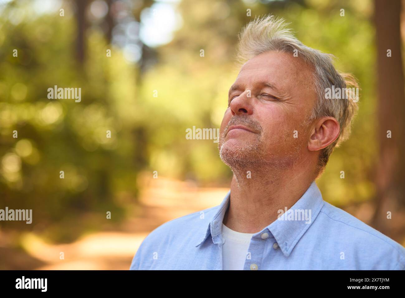 Tranquillo uomo anziano rilassante in mezzo alla natura nella foresta circondato da alberi a occhi chiusi Foto Stock