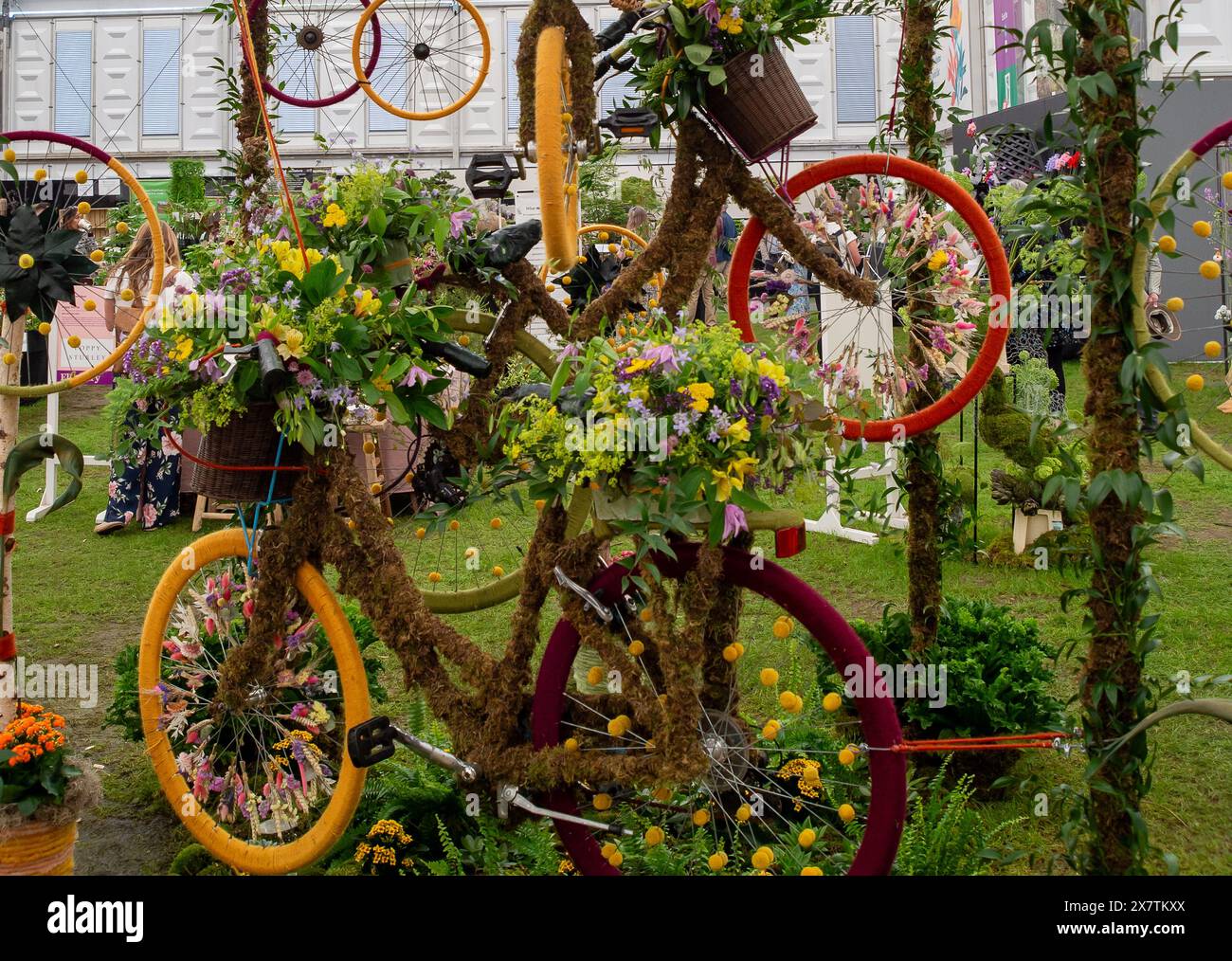 Londra, Regno Unito. 20 maggio 2024. Biciclette riciclate ricoperte da esposizioni floreali presso l'esposizione Belgravia in Bloom di Judith Blacklock all'RHS Chelsea Flower Show di Londra. Crediti: Maureen McLean/Alamy Live News Foto Stock