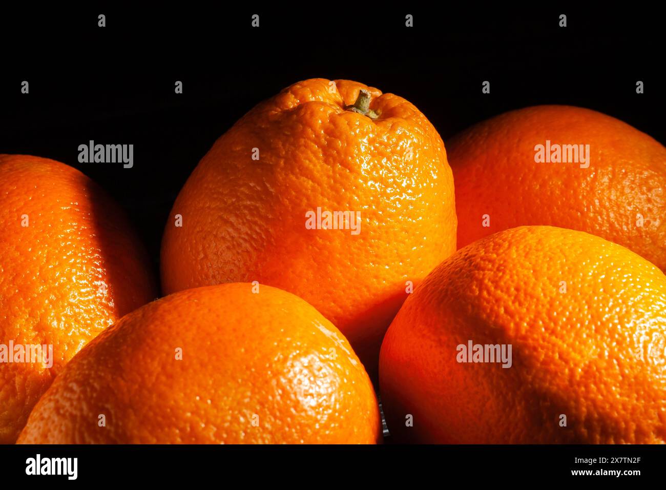 arance bionde ovali calabresi su sfondo nero Foto Stock