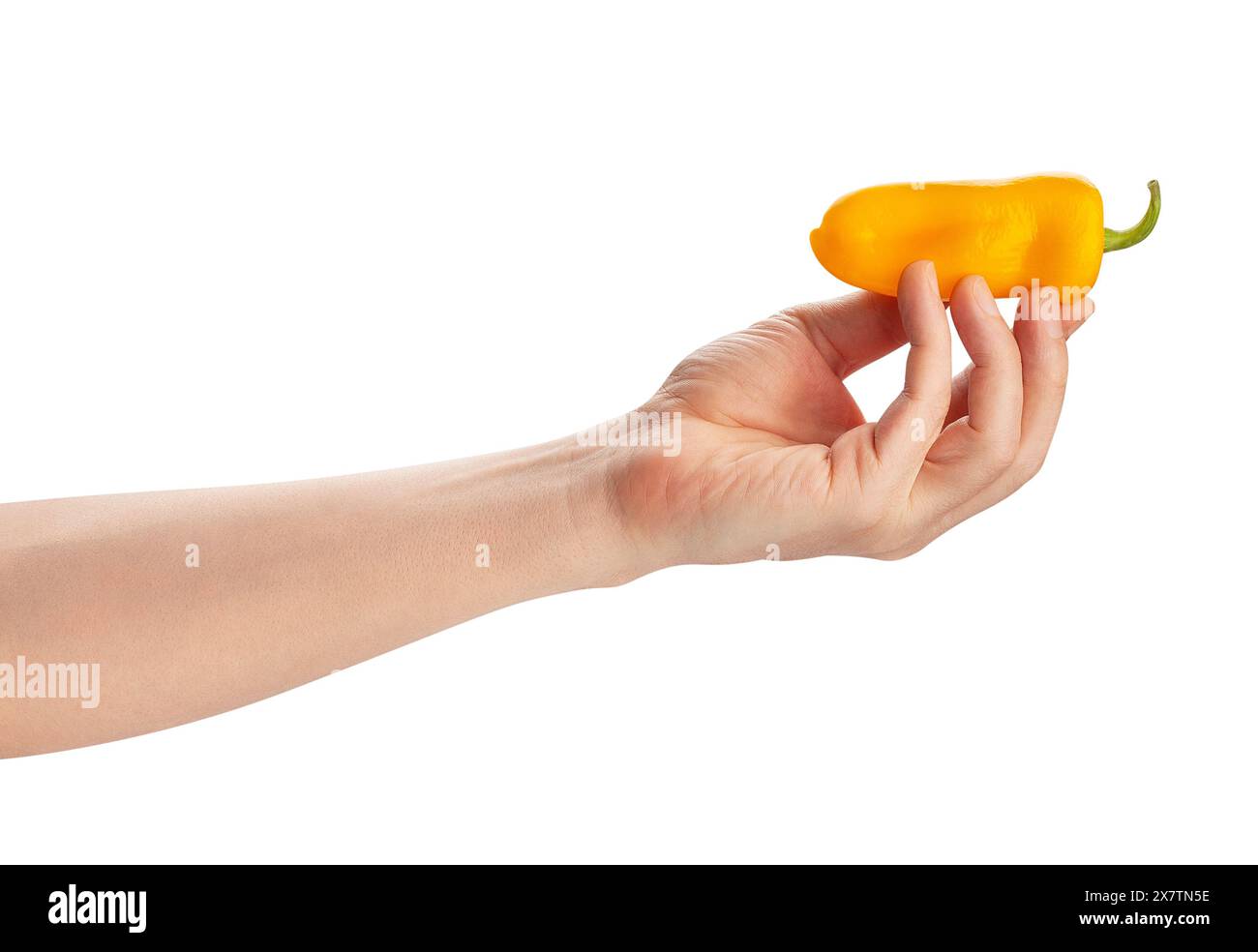 mini peperone giallo nel percorso della mano isolato su bianco Foto Stock
