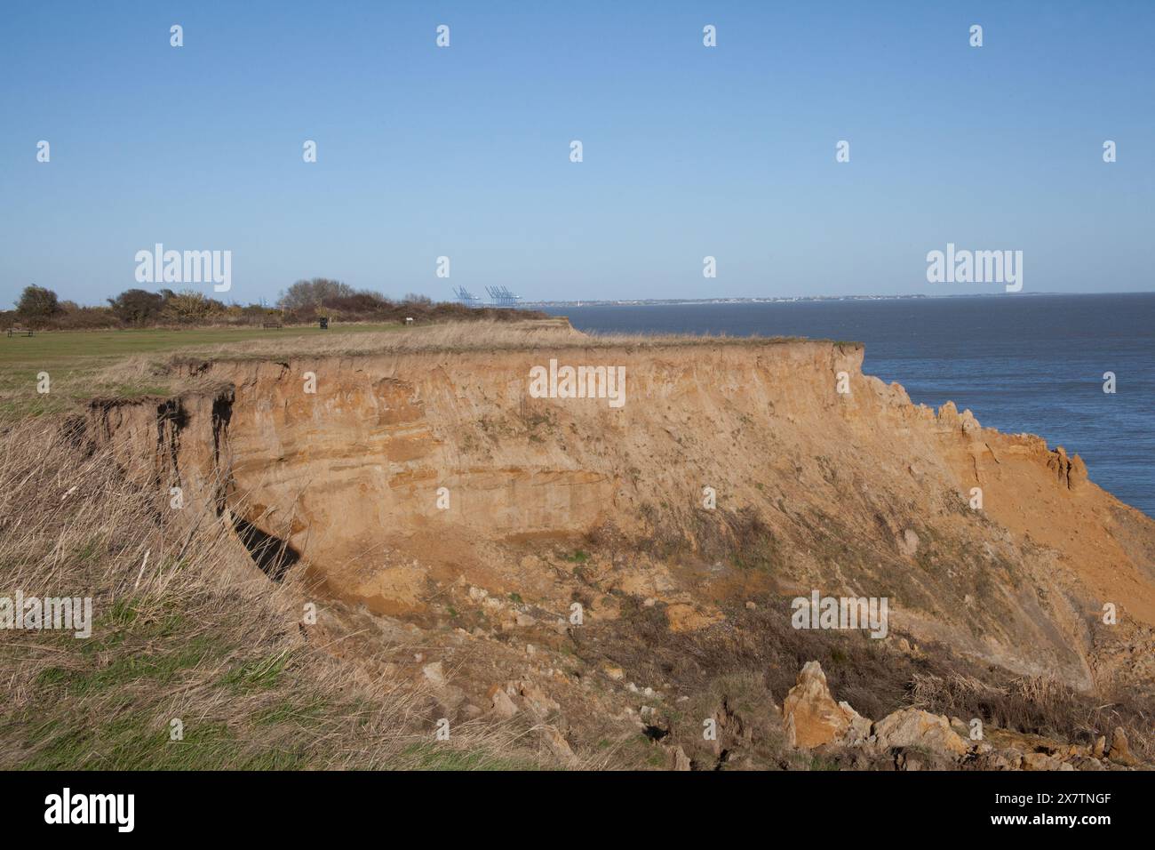 Una scogliera erosa al Naze dalla Naze Tower a Walton sul Naze, Essex nel Regno Unito Foto Stock