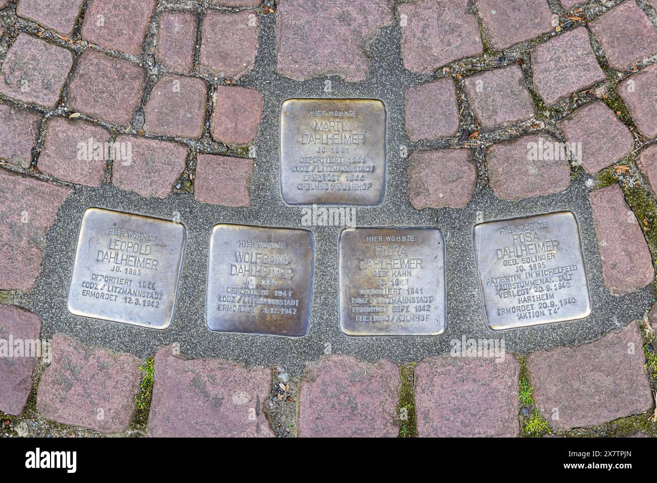 Stolpersteine a Miltenberg, ein Projekt des Künstlers Gunter Demnig. Stolpersteinen erinnern an das Schicksal der Menschen, Die in der Zeit des Nationalsozialismus verfolgt, ermordet, deportiert oder vertrieben wurden. // 02.05.2024: Miltenberg, Unterfranken, Bayern, Deutschland **** Stumbling Stones in Miltenberg, un progetto dell'artista Gunter Demnig Stumbling Stones commemorano il destino di persone perseguitate, uccise, deportate o espulse durante l'era nazionalsocialista 02 05 2024 Miltenberg, bassa Franconia, Baviera, Germania Foto Stock