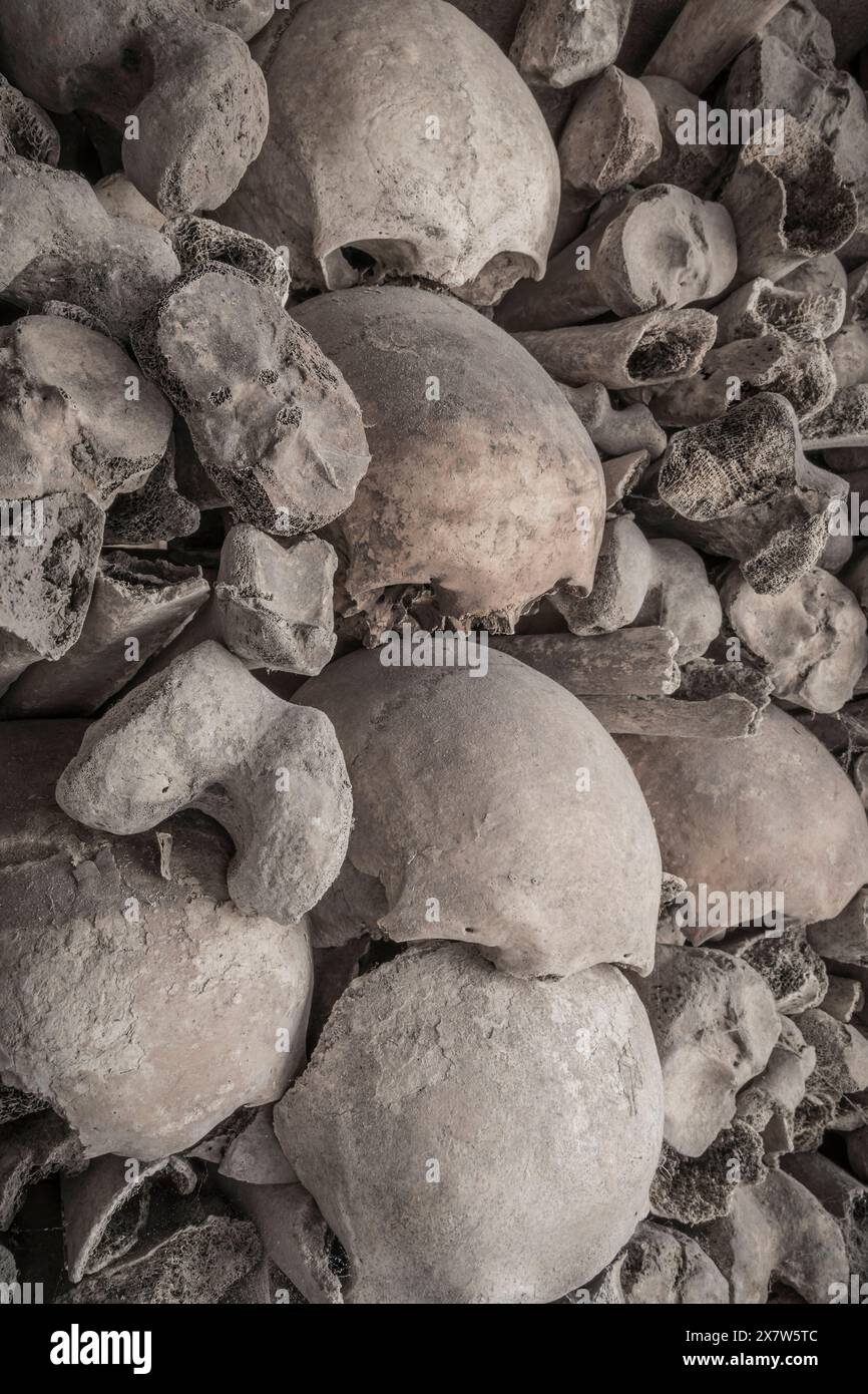 teschi e ossa impilati in una tomba Foto Stock