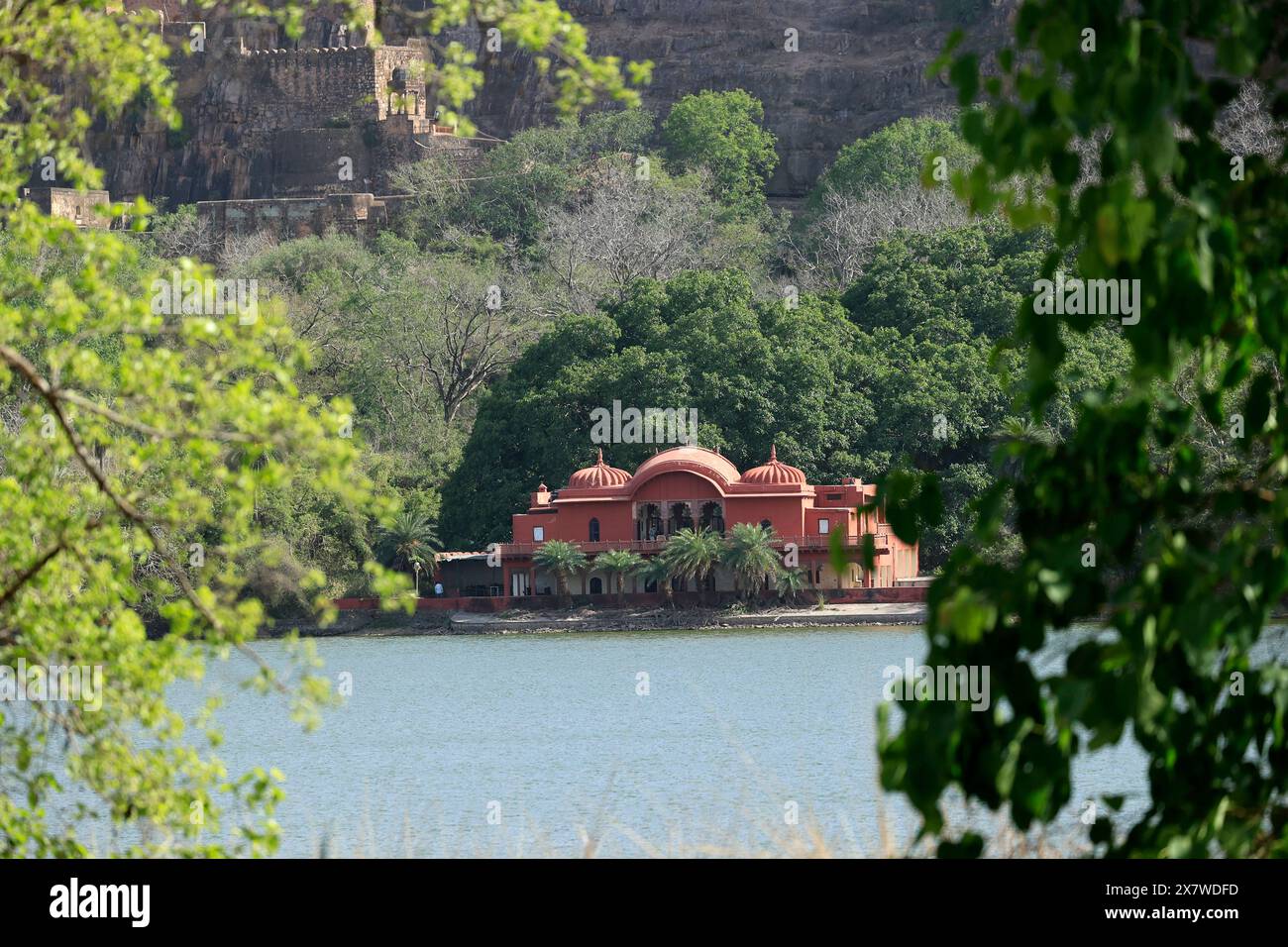 Lo splendido Palazzo reale abbandonato del Parco Nazionale di Ranthambore Foto Stock