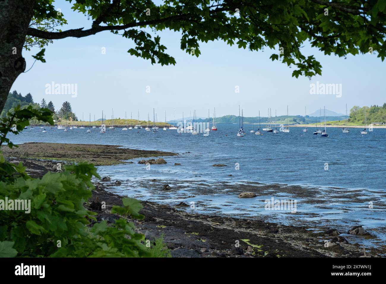Linnhe Marina Appin, Dallens Bay, vicino Oban, Loch Linnhe, Scozia, REGNO UNITO Foto Stock
