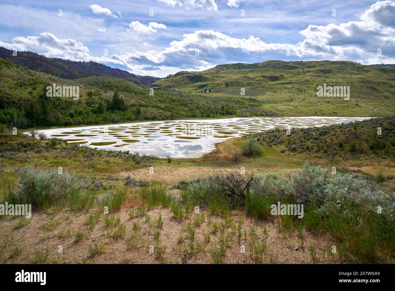 Lago Osoyoos Okanagan BC. Il lago Spotted vicino a Osoyoos Canada è un lago alcalino salino che crea i cerchi quando si asciuga in estate. Foto Stock