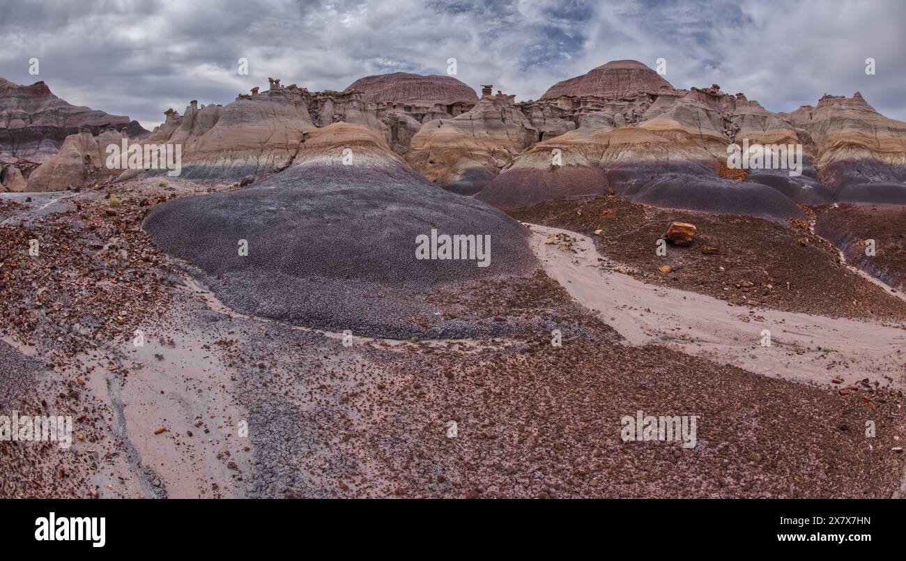 Hoodoo riempì le scogliere sul lato nord di Blue Mesa nel Petrified Forest National Park in Arizona. Foto Stock