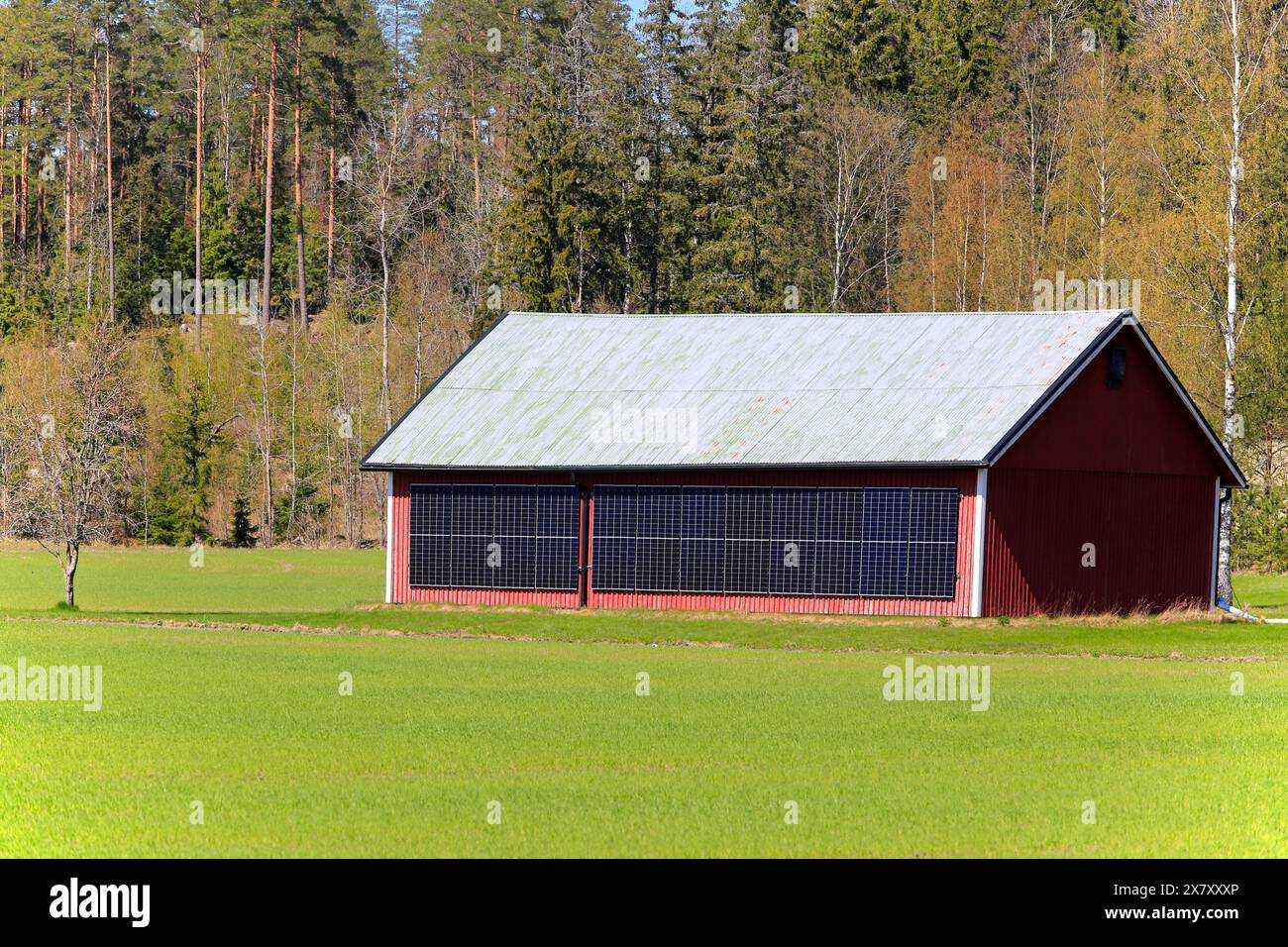 Pannelli solari sulla parete esterna di un fienile rosso nella Finlandia rurale in un giorno di sole di primavera. Foto Stock