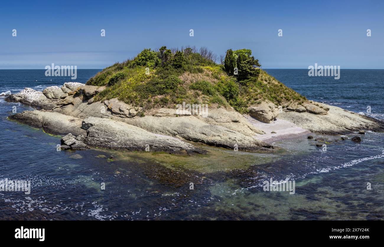 Isola degli uccelli sulla costa del Mar Nero ad Arapya, regione di Burgas, Bulgaria Foto Stock