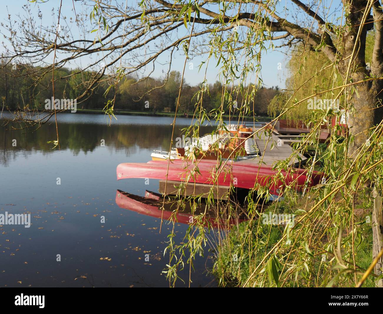 Una barca a remi rossa si trova accanto a un molo, circondato da alberi e acque calme, barche a remi e pedalò su un piccolo molo di legno nel lago circostante Foto Stock