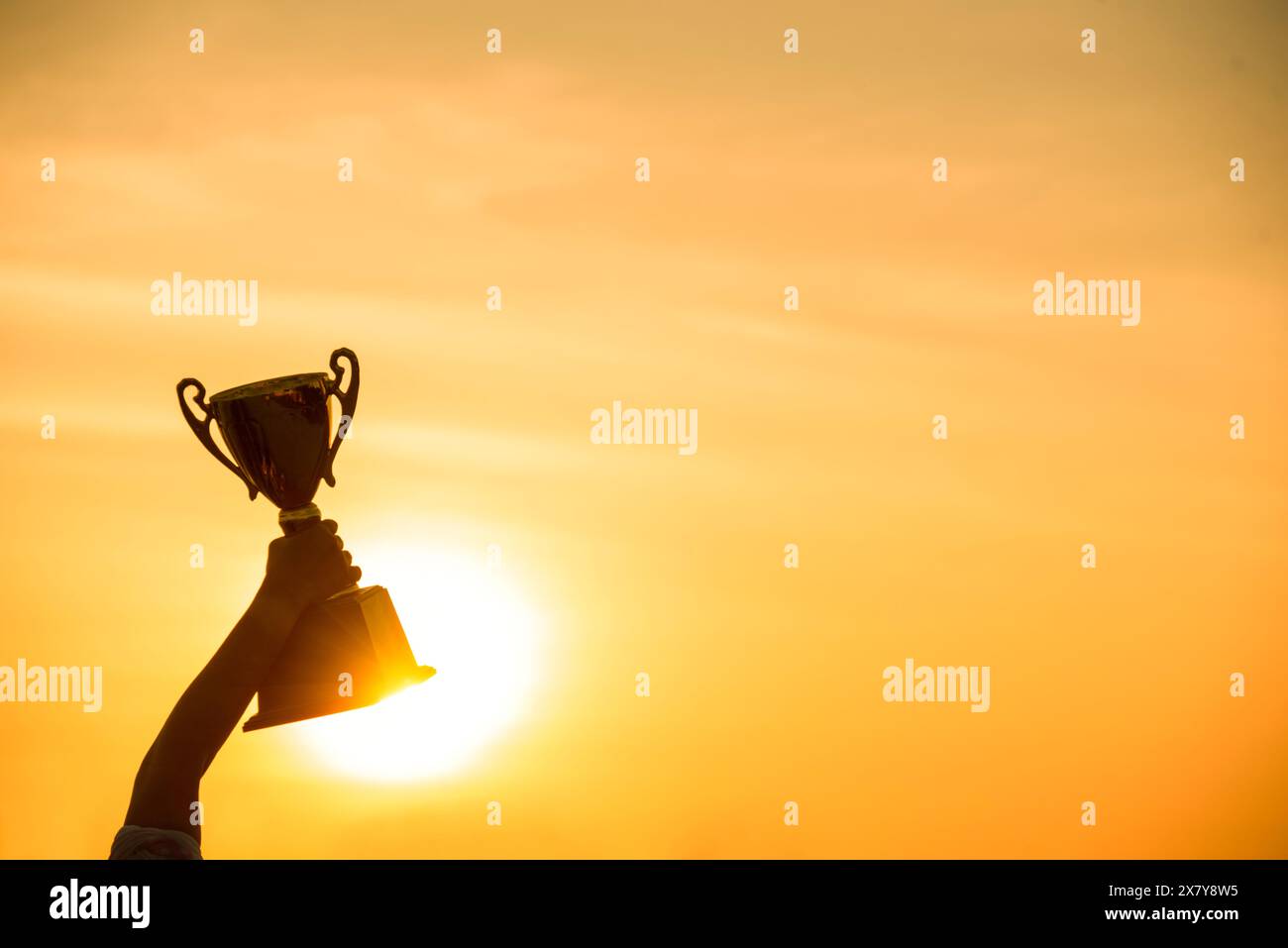 Il vincitore vince vincendo il premio della coppa del trofeo del campione d'oro. Silhouette miglior trofeo di vittoria per la squadra campione professionista che detiene lo sport d'oro Foto Stock