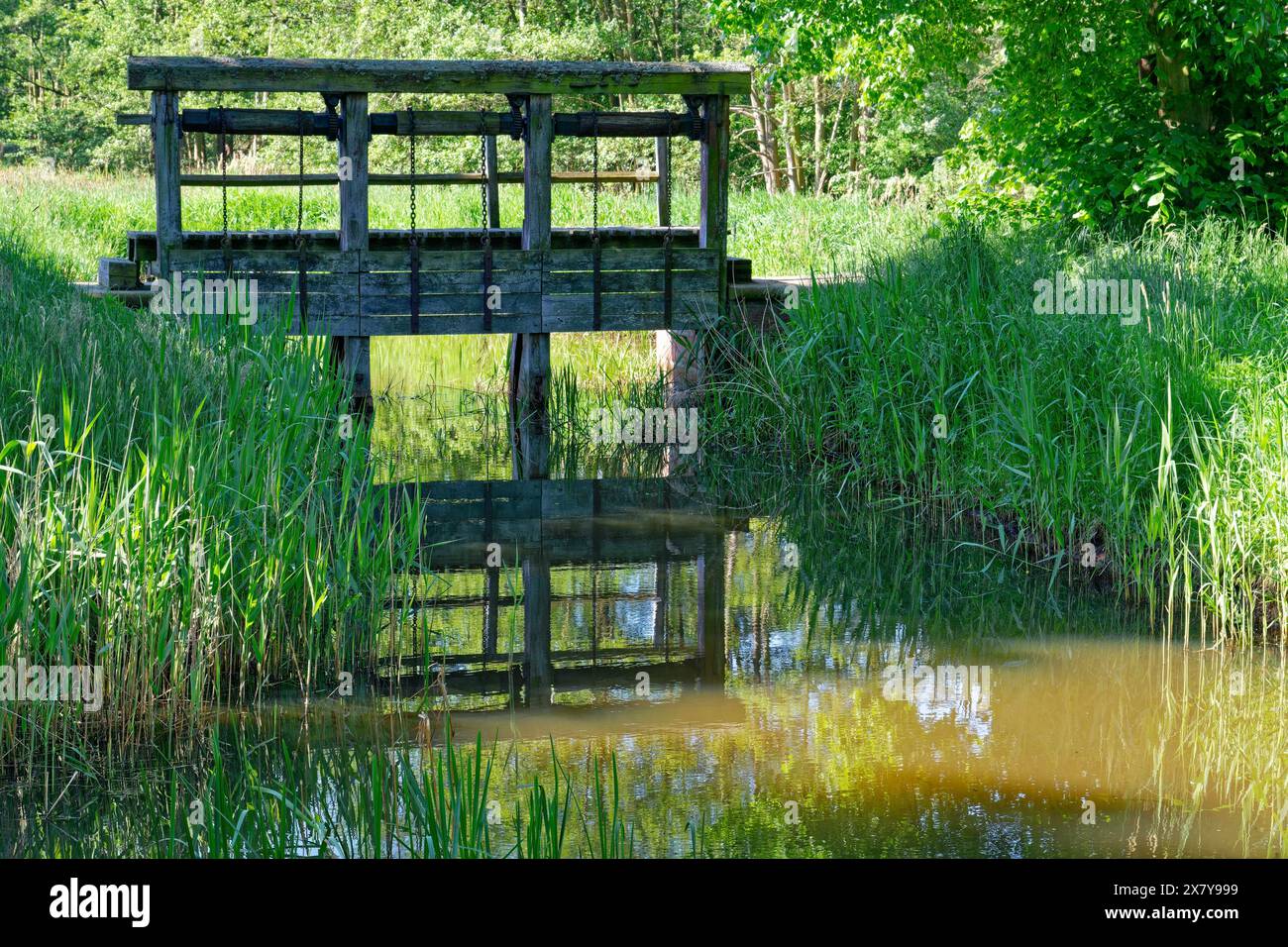 Rinchiudete la Friedrichskanal e Dannefelder Moorgraben nella riserva della Biosfera Drömling UNESCO. Dannefeld, città anseatica di Gardelegen nell'Altmar Foto Stock