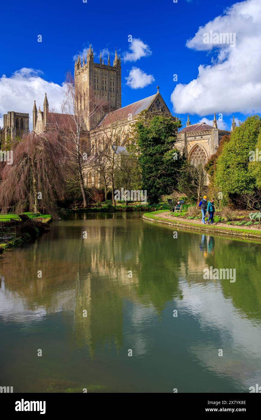 Cattedrale di Wells riflessa in una piscina nei giardini del palazzo vescovile, Somerset, Inghilterra, Regno Unito Foto Stock