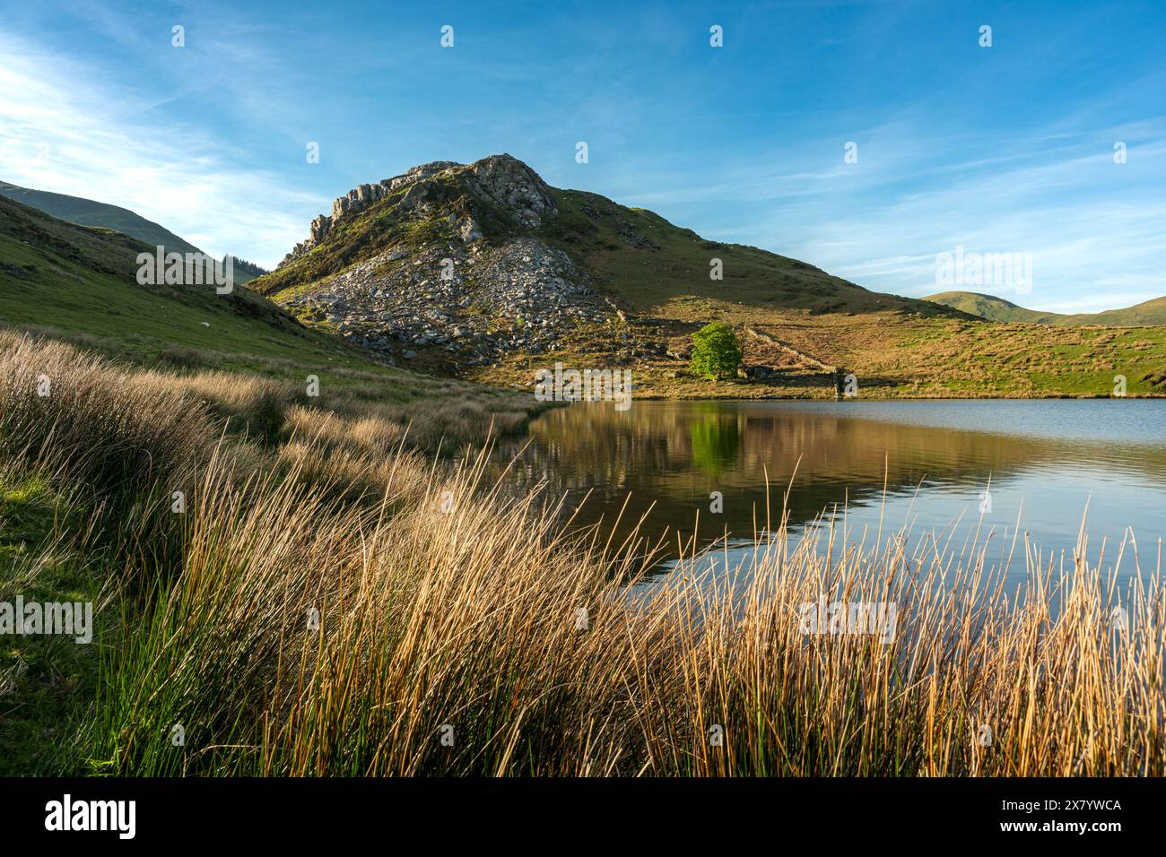 Llyn y Dywarchen e Clogwyngarreg mentre il sole tramonta nel Parco Nazionale di Eryri, Galles, Regno Unito Foto Stock