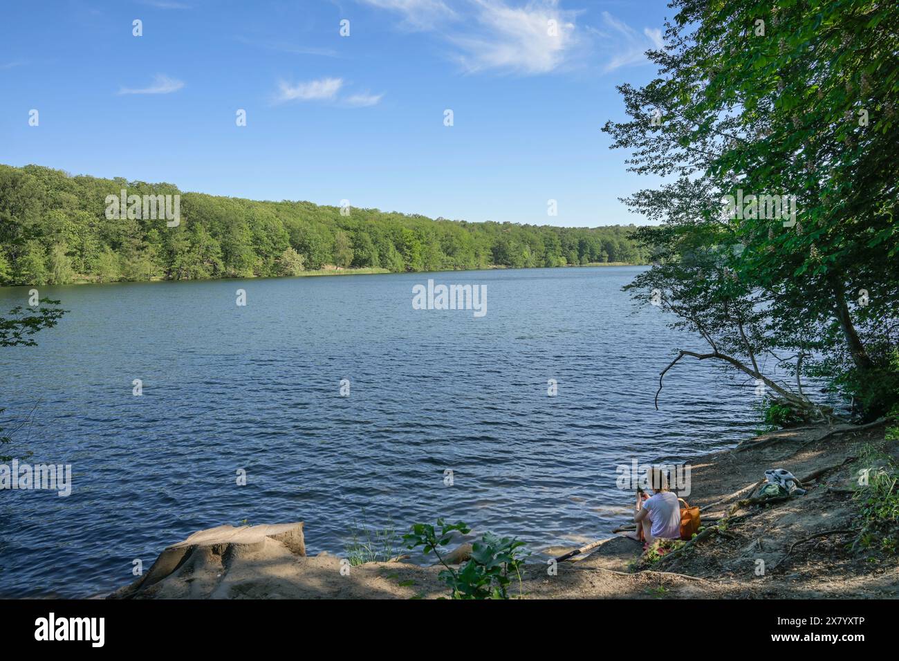 Schlachtensee, Zehlendorf, Steglitz-Zehlendorf, Berlino, Deutschland Foto Stock