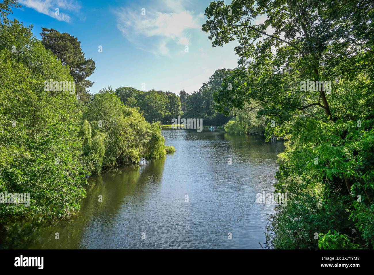 Waldsee, Zehlendorf, Steglitz-Zehlendorf, Berlino, Germania Foto Stock