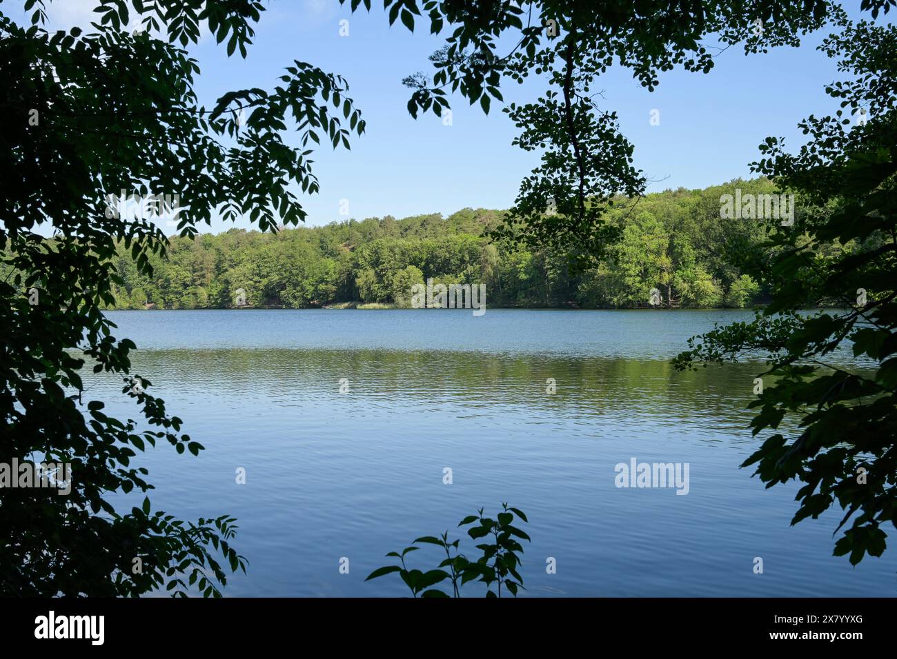 Schlachtensee, Zehlendorf, Steglitz-Zehlendorf, Berlino, Deutschland Foto Stock