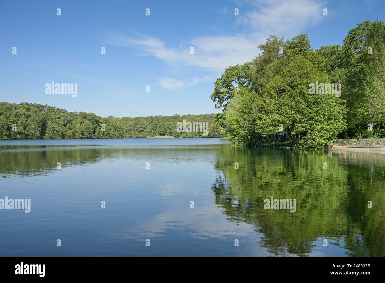 Schlachtensee, Zehlendorf, Steglitz-Zehlendorf, Berlino, Deutschland Foto Stock