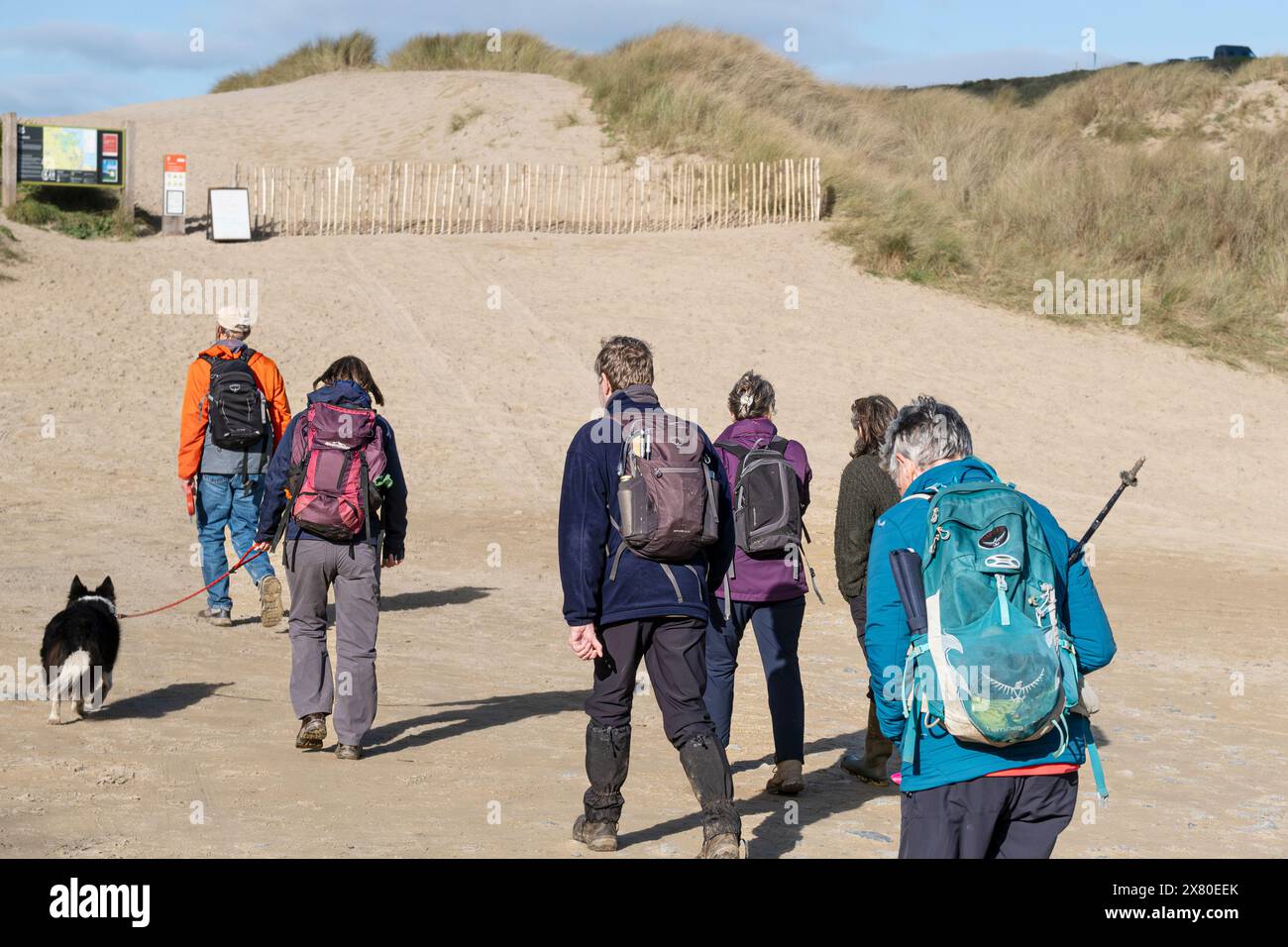 Un gruppo di camminatori che camminano verso il sistema di dune di sabbia di Crantock Beach, sulla costa di Newquay, in Cornovaglia, nel Regno Unito. Foto Stock