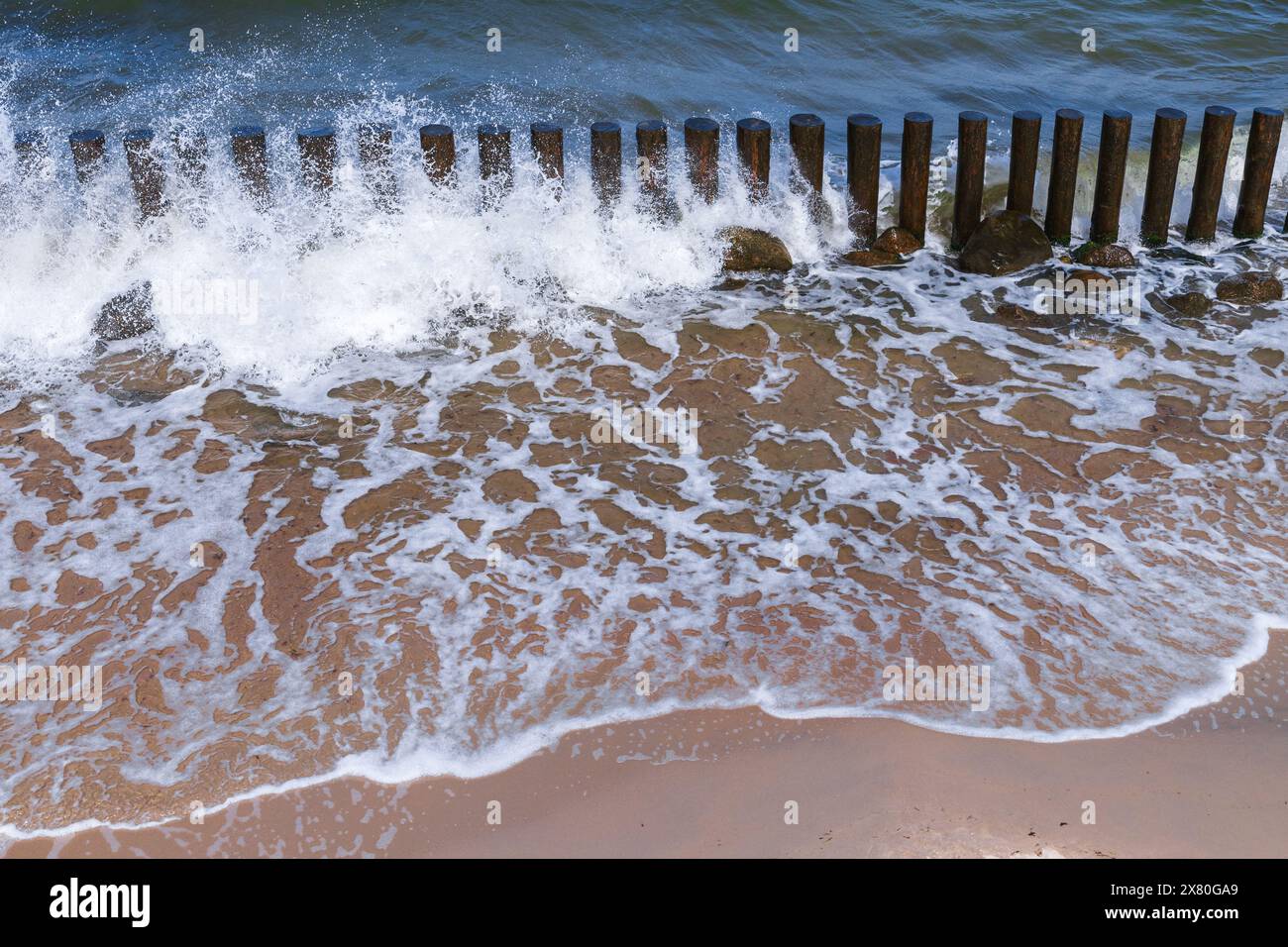 Acqua di riva e pilastri di legno, struttura protettiva per frangiflutti, costa del Mar Baltico in una soleggiata giornata estiva. Svetlogorsk, Oblast' di Kaliningrad, Russia Foto Stock