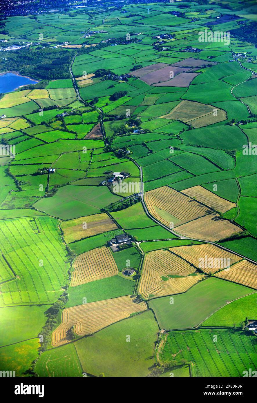 Zona di Belfast Irlanda del Nord Foto Stock