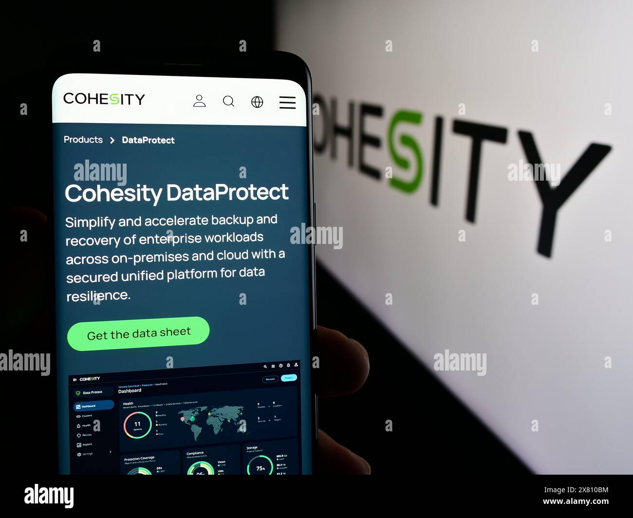 Persona che possiede un telefono cellulare con pagina Web della società statunitense di gestione dati Cohesity Inc. Davanti al logo. Messa a fuoco al centro del display del telefono. Foto Stock