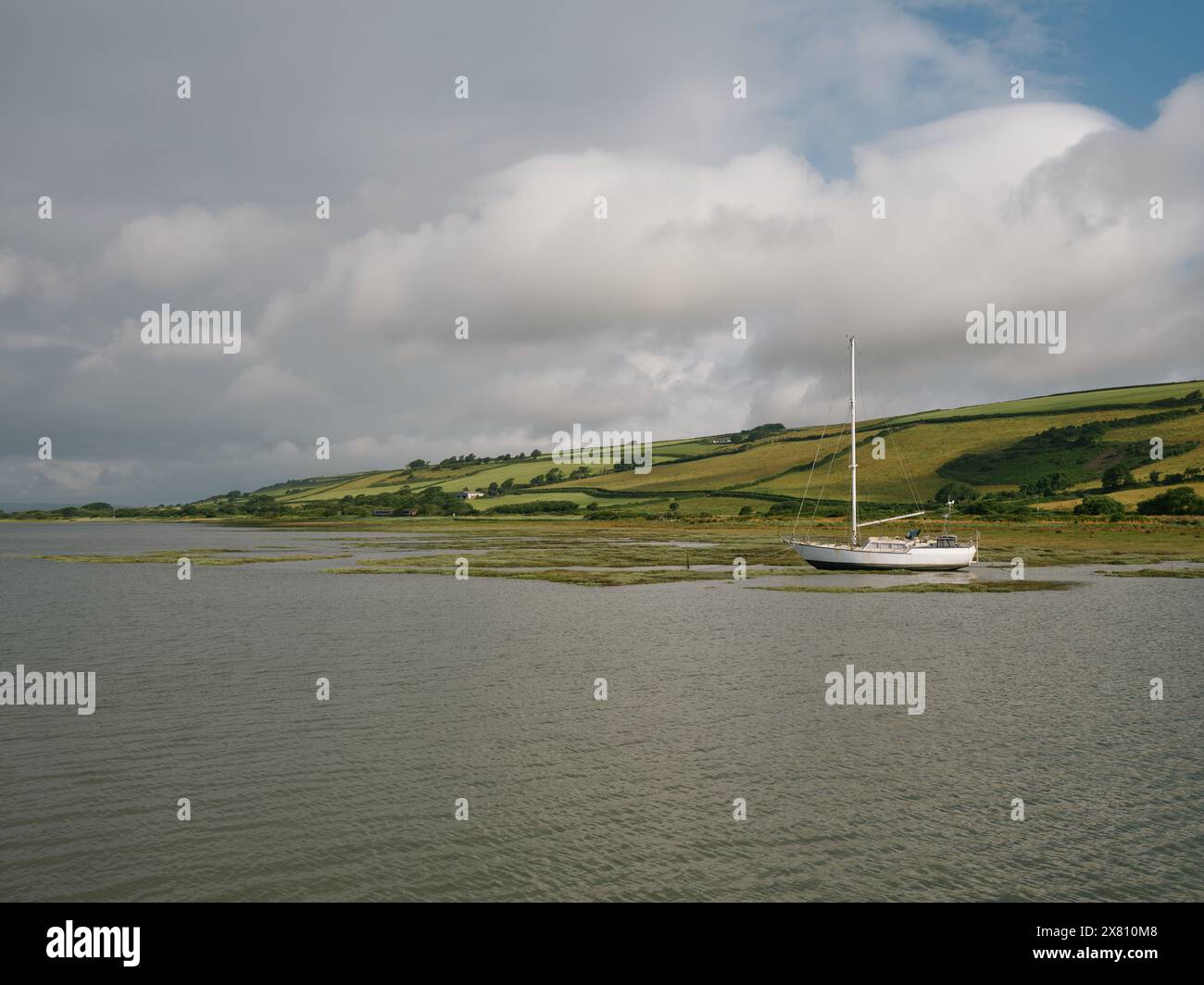 La costa estiva del paesaggio paludoso salato a Kidwelly Quay Carmarthenshire Wales UK Foto Stock