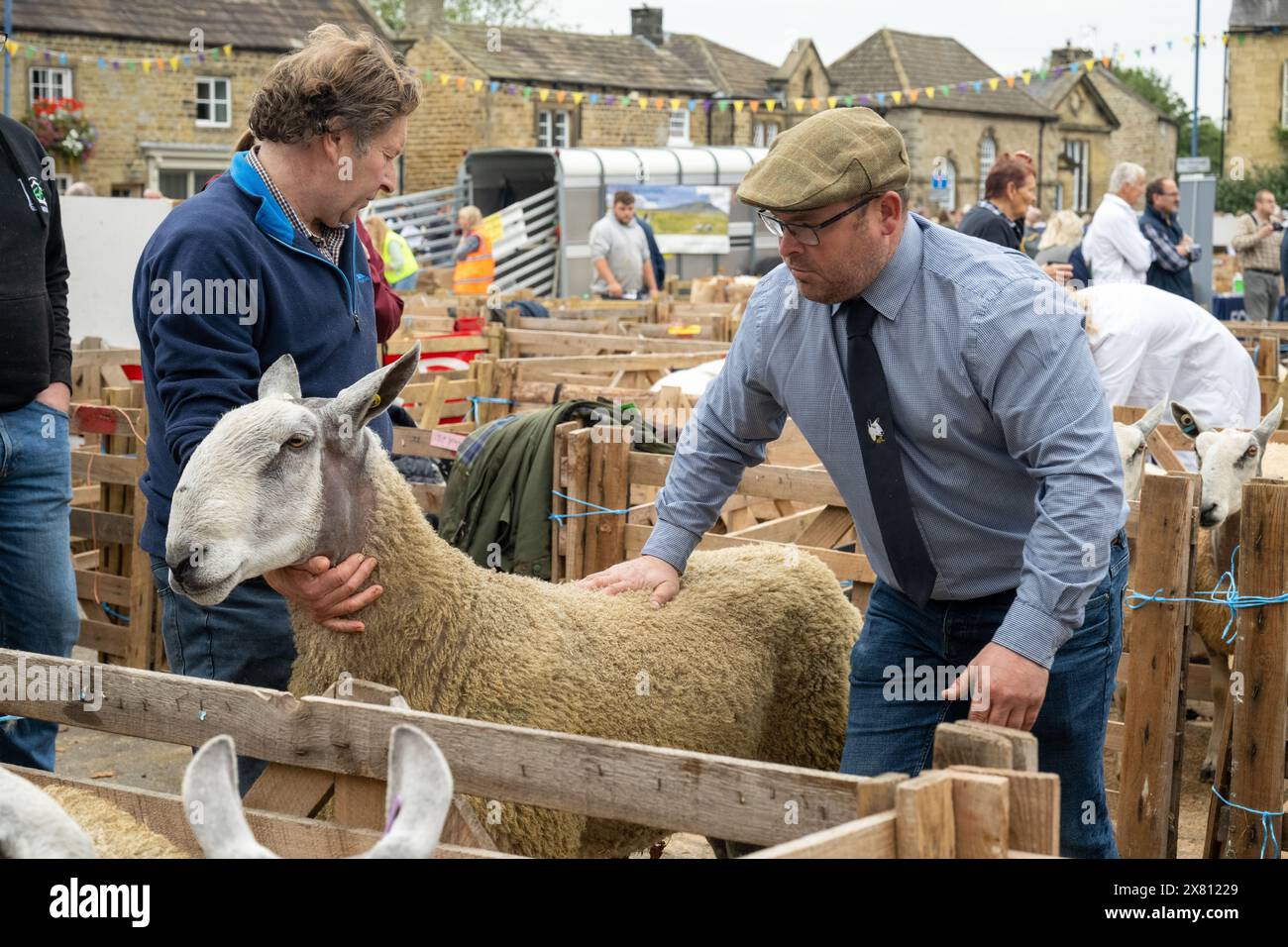 Un giudice maschile dall'aspetto serio, in piedi in una penna di legno, che esamina una pecora alla Masham Sheep Fair. North Yorkshire, Regno Unito Foto Stock
