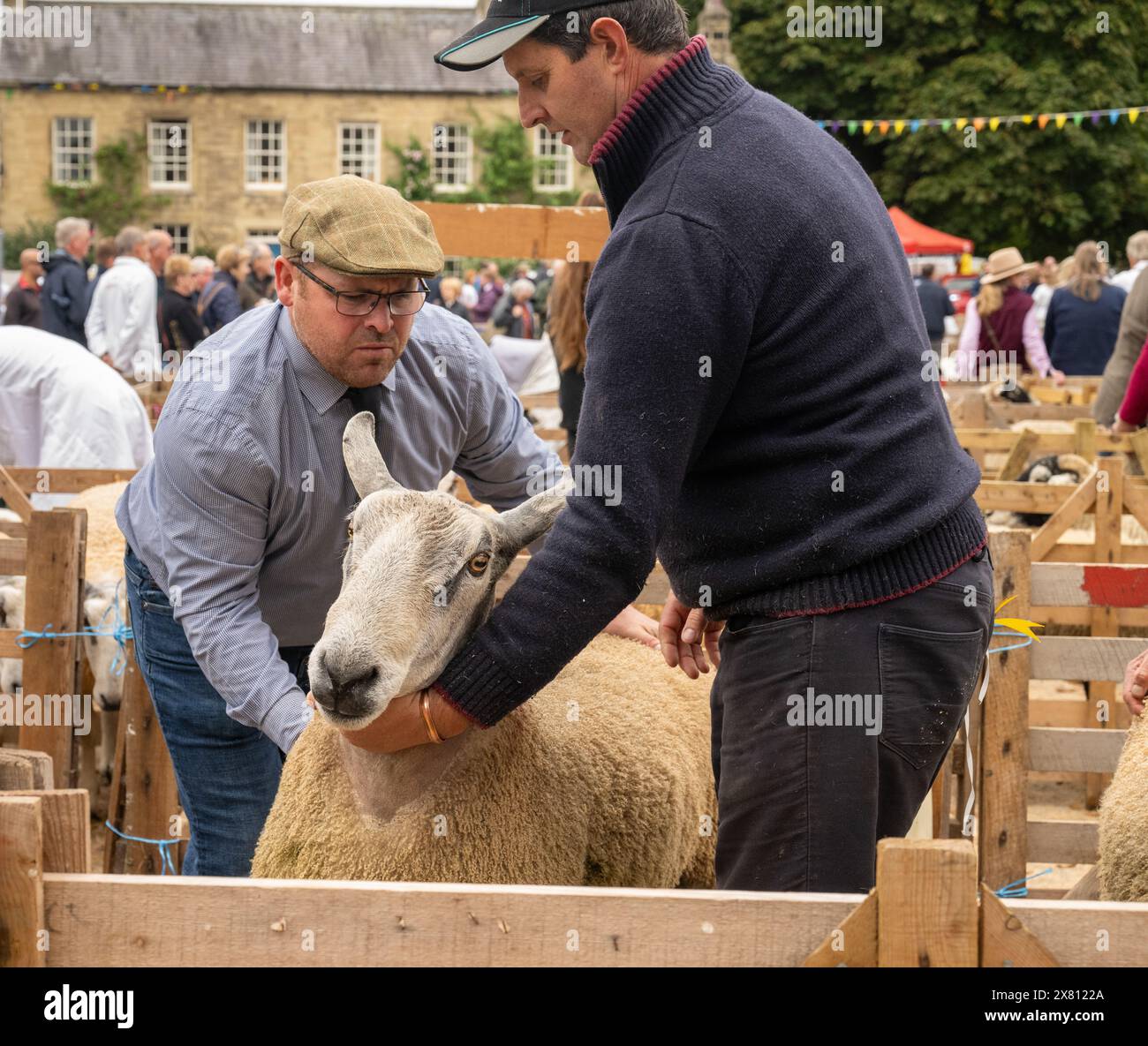 Un giudice maschile dall'aspetto serio, in piedi in una penna di legno, che esamina una pecora alla Masham Sheep Fair. North Yorkshire, Regno Unito Foto Stock