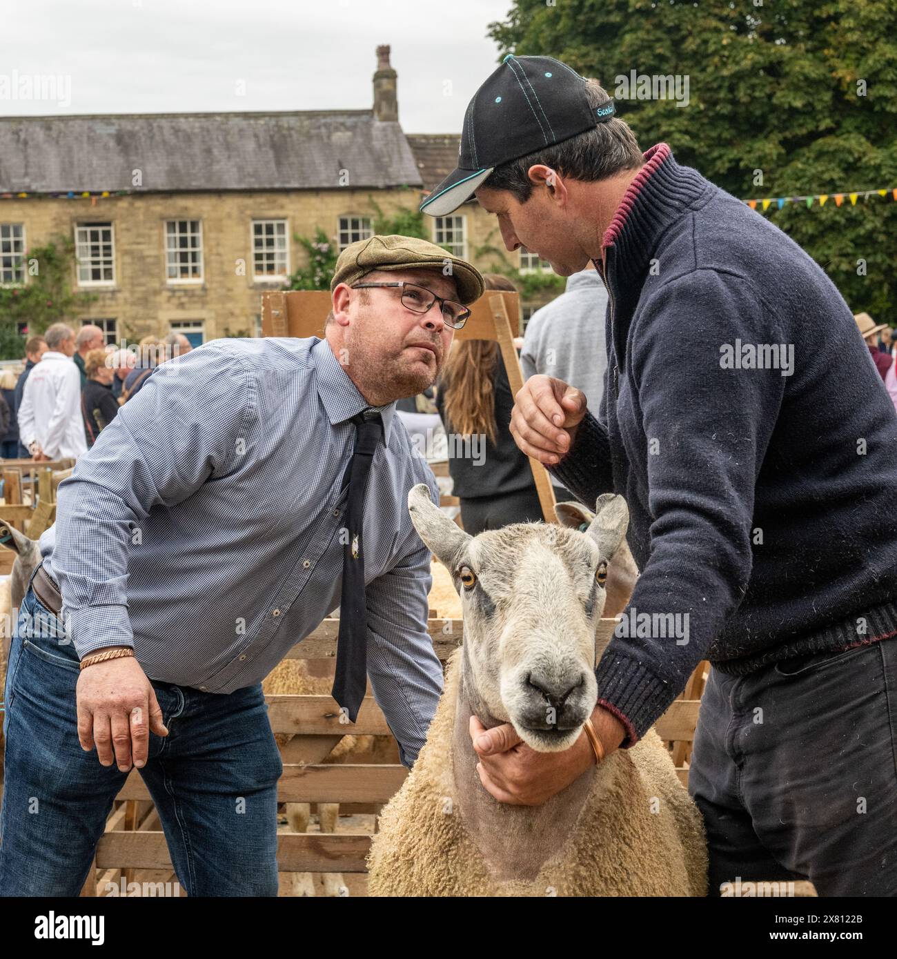 Giudice che ispeziona le pecore mentre il suo proprietario guarda la Masham Sheep Fair. North Yorkshire, Regno Unito Foto Stock