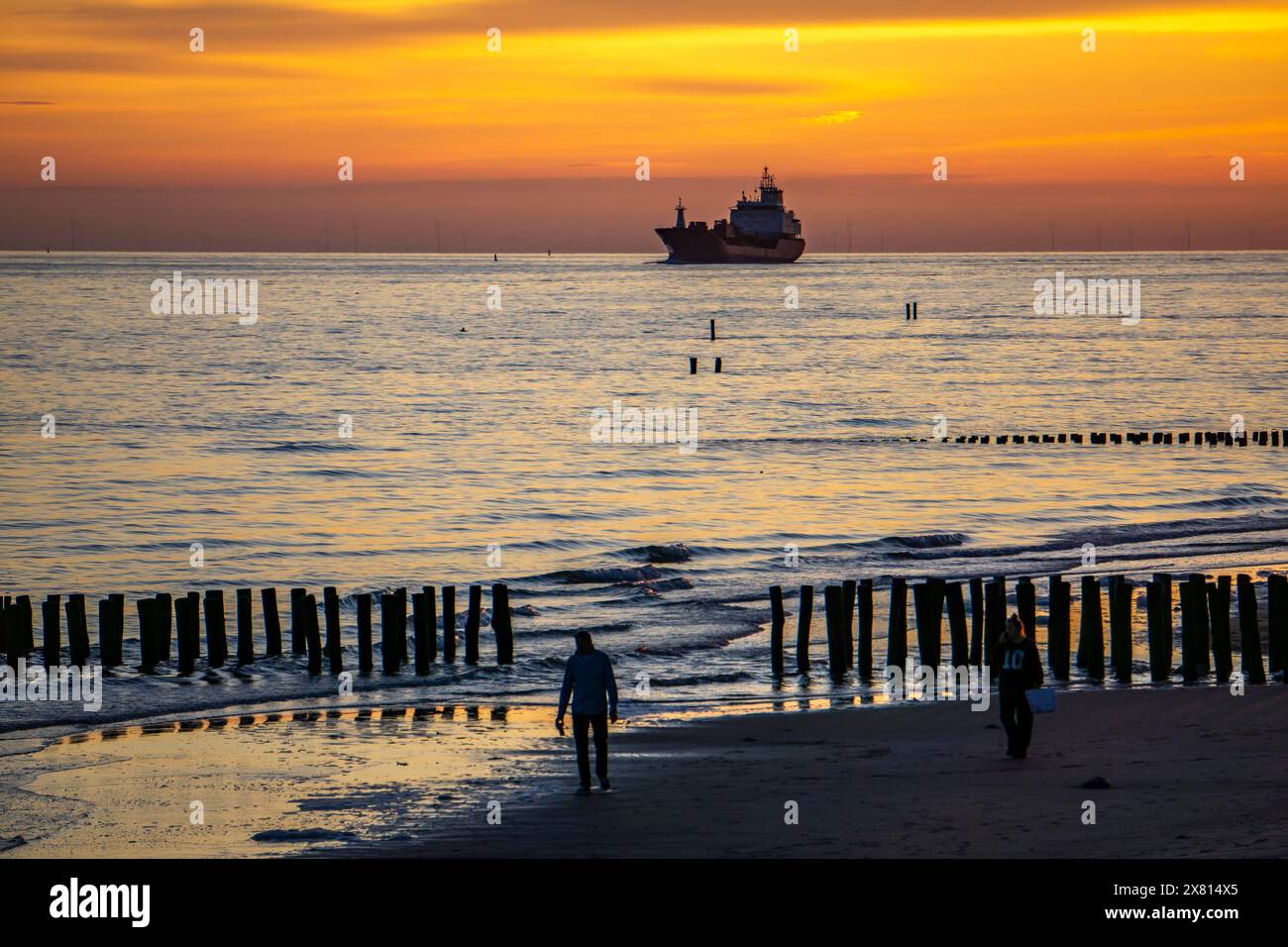 Tramonto sulla spiaggia di Zoutelande, spiaggia con frangiflutti in legno, nave da carico che naviga verso Westerschelde, Zelanda, Paesi Bassi Foto Stock