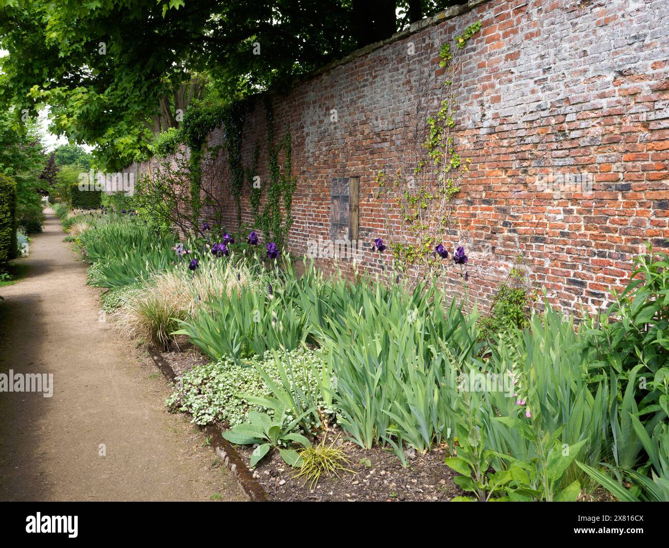 Il lato sud-ovest che guarda al confine con la parete di Helmsley Walled Garden Foto Stock