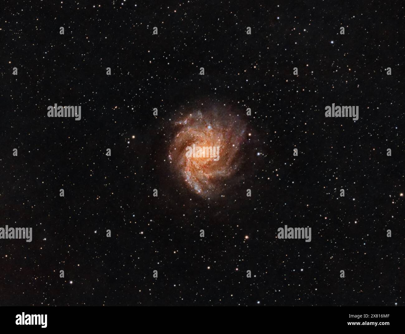 Galassia dei fuochi d'artificio catturata dal mio cortile Foto Stock