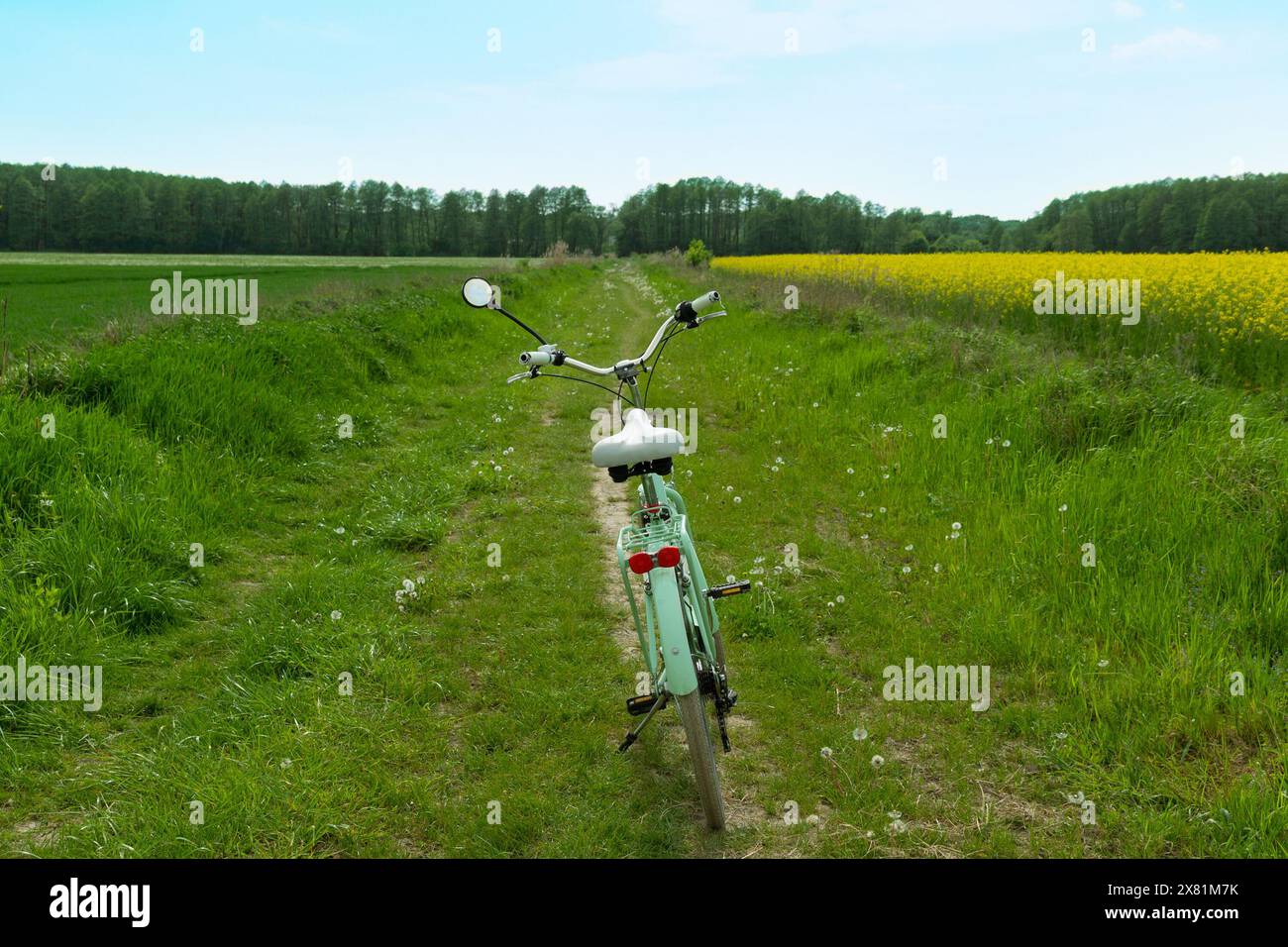 La bicicletta di una donna in mezzo a un campo. Riposa nella natura. Estate. Foto Stock