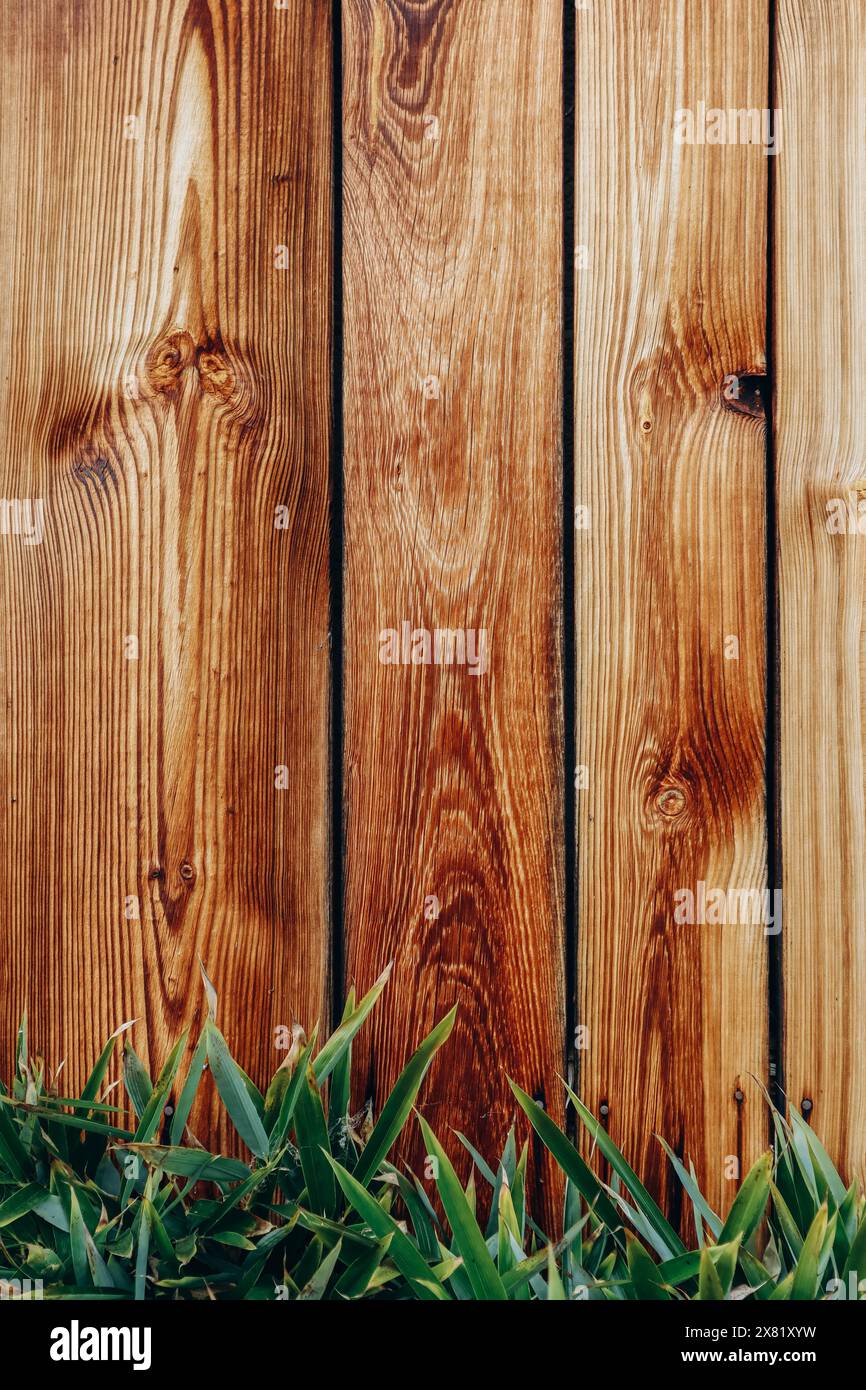 Splendida struttura in legno con erba verde sul fondo Foto Stock