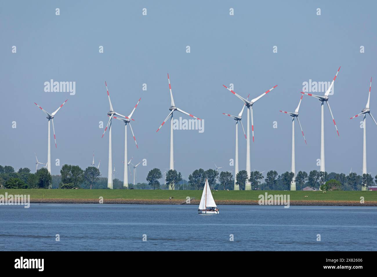 Parco eolico vicino a Brunsbüttel, fiume Elba, barca a vela, Schleswig-Holstein, Germania Foto Stock