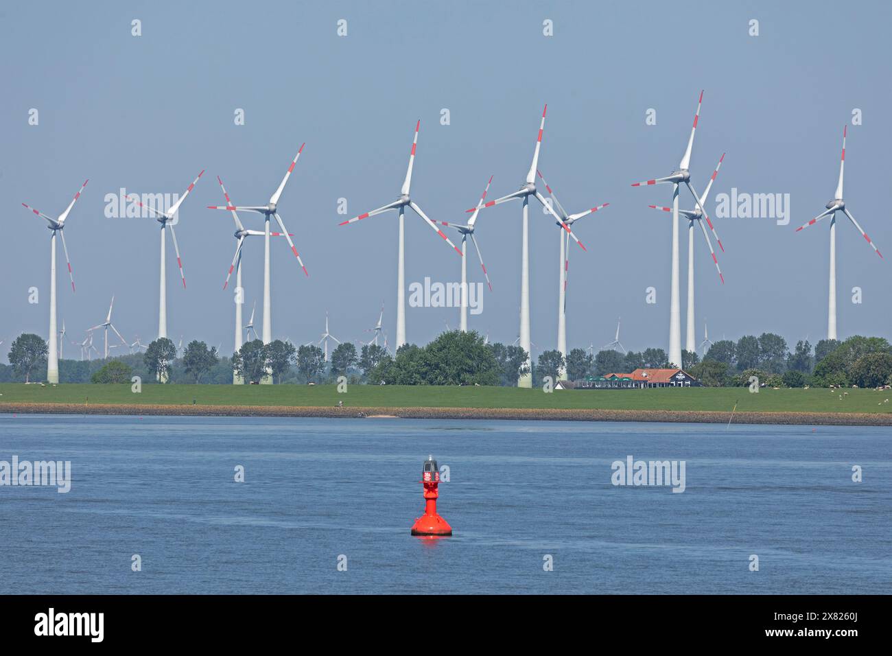 Parco eolico vicino a Brunsbüttel, casa, boa, fiume Elba, Schleswig-Holstein, Germania Foto Stock
