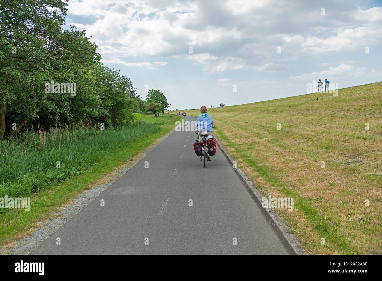 Ciclista, pista ciclabile di Weser, Cuxhaven, bassa Sassonia, Germania Foto Stock