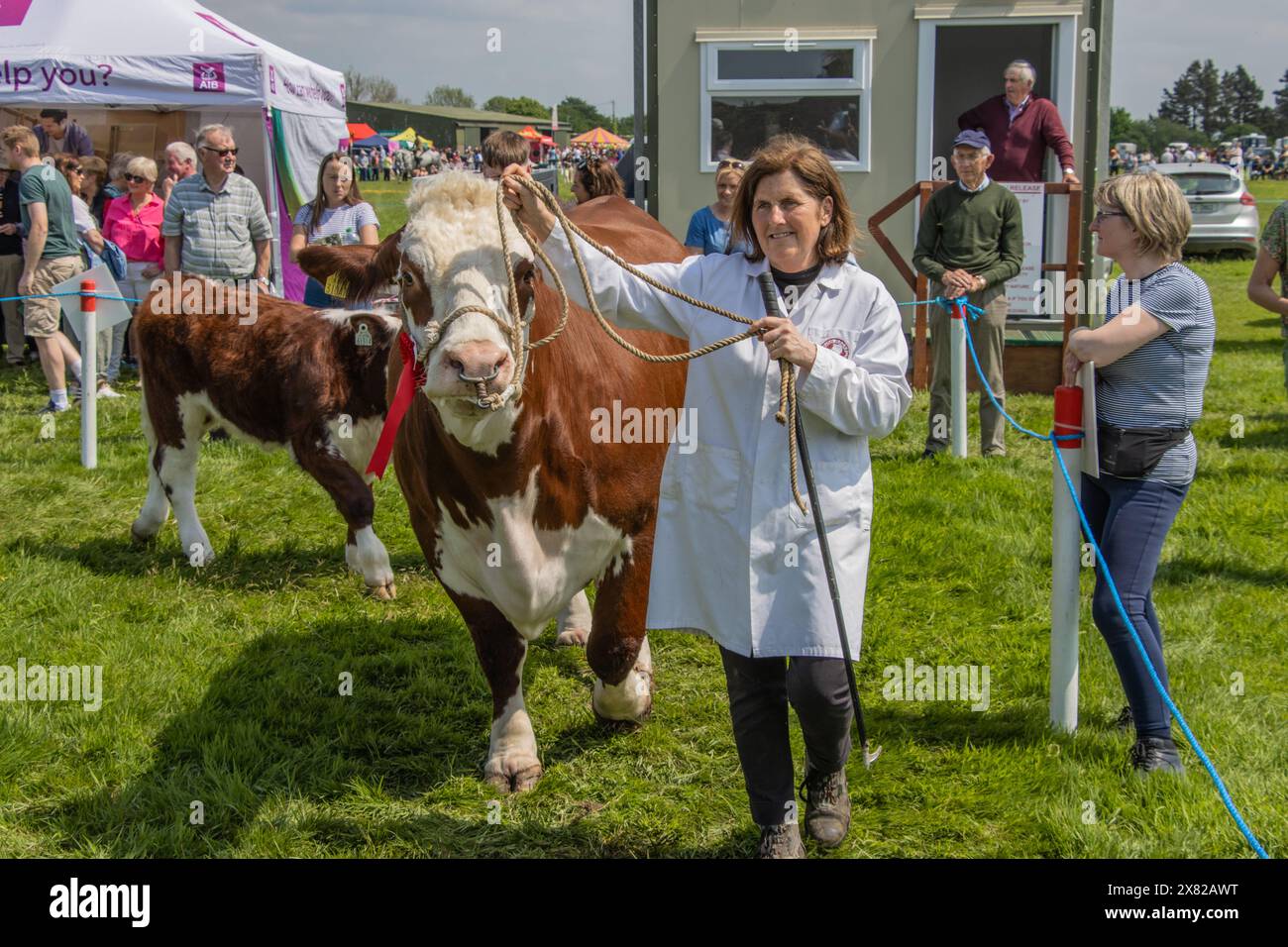 Bandon Agricultural Show, Castlebernard, Bandon, maggio 2024 Foto Stock