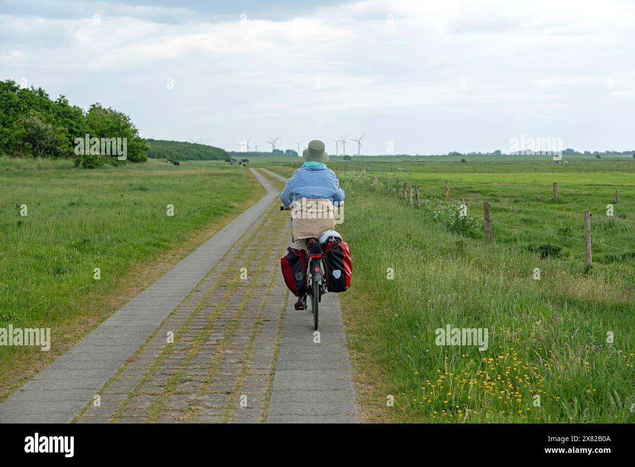 Ciclista, pista ciclabile di Weser, terra di Wurster, bassa Sassonia, Germania Foto Stock