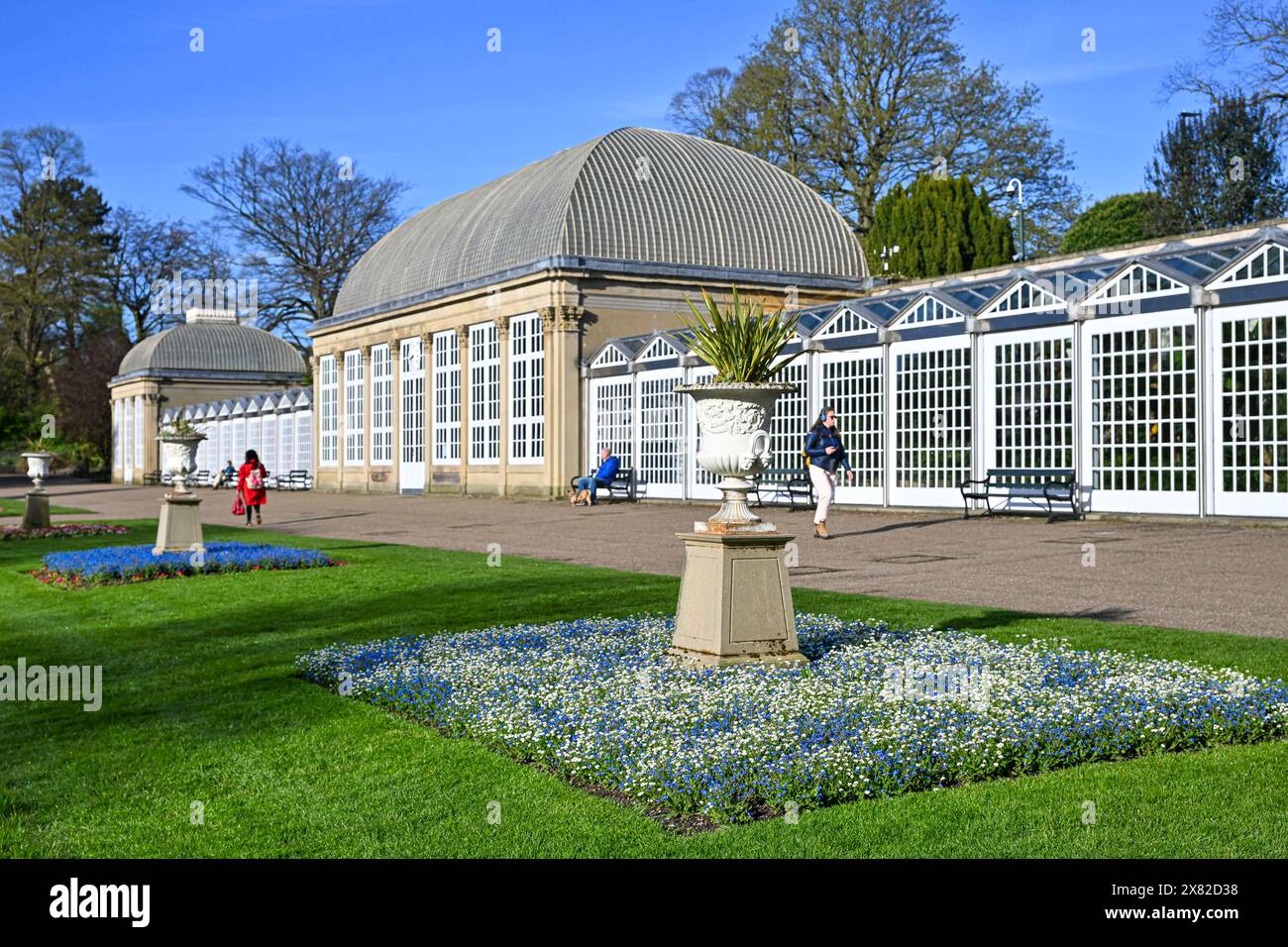 Hot House Pavilions, Sheffield Botanical Gardens, Sheffield, Inghilterra, U. K Foto Stock