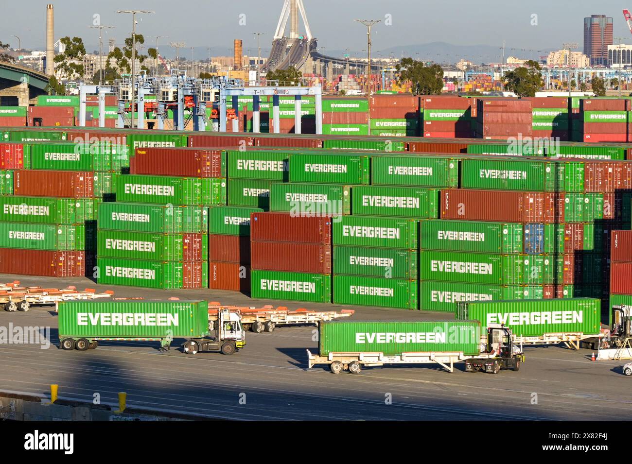 Los Angeles, California, USA - 12 gennaio 2024: Autocarro articolato che trasporta un container Evergreen nel porto di Los Angeles. Foto Stock