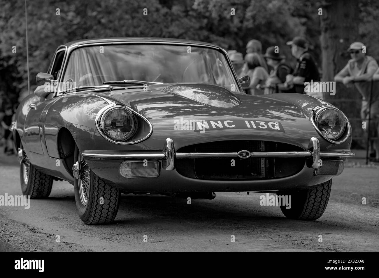Testa alla testa di una Jaguar e Type che partecipa a una mostra di auto Foto Stock