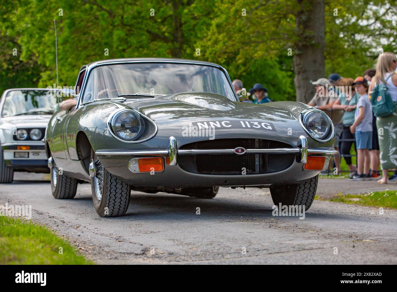 Testa alla testa di una Jaguar e Type che partecipa a una mostra di auto Foto Stock