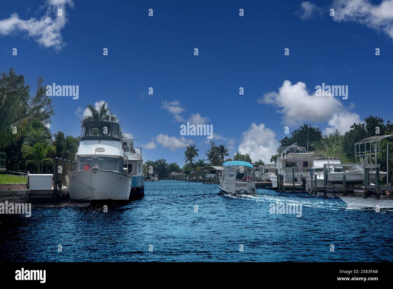 Canali e case a Cape Coral, Florida, Stati Uniti Foto Stock