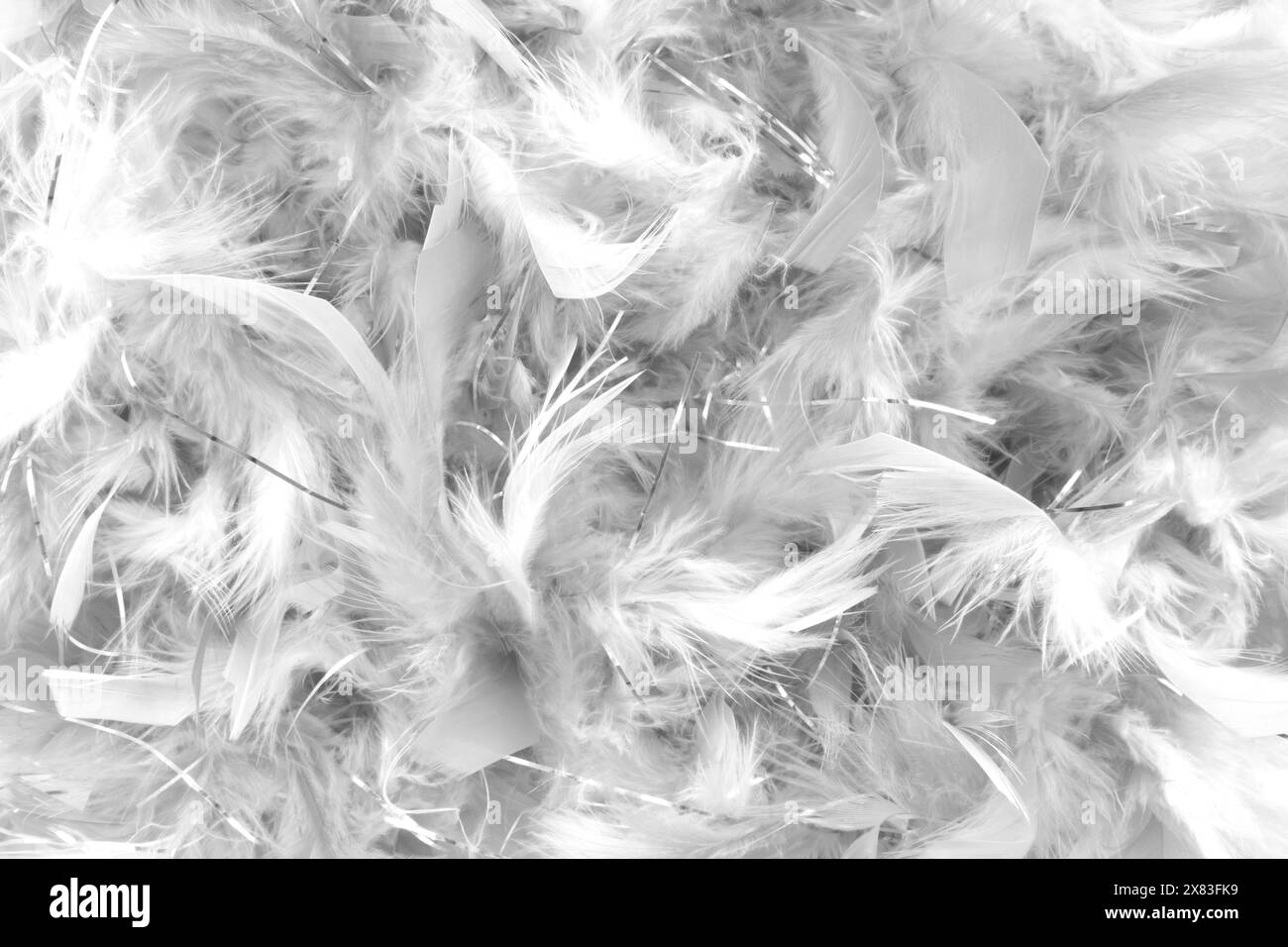 primo piano dello sfondo dei dettagli delle piume grigie Foto Stock